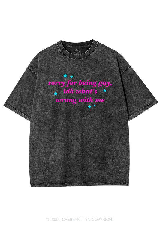 Sorry For Being Gay Pride Y2K Shirts Washed Tee Cherrykitten