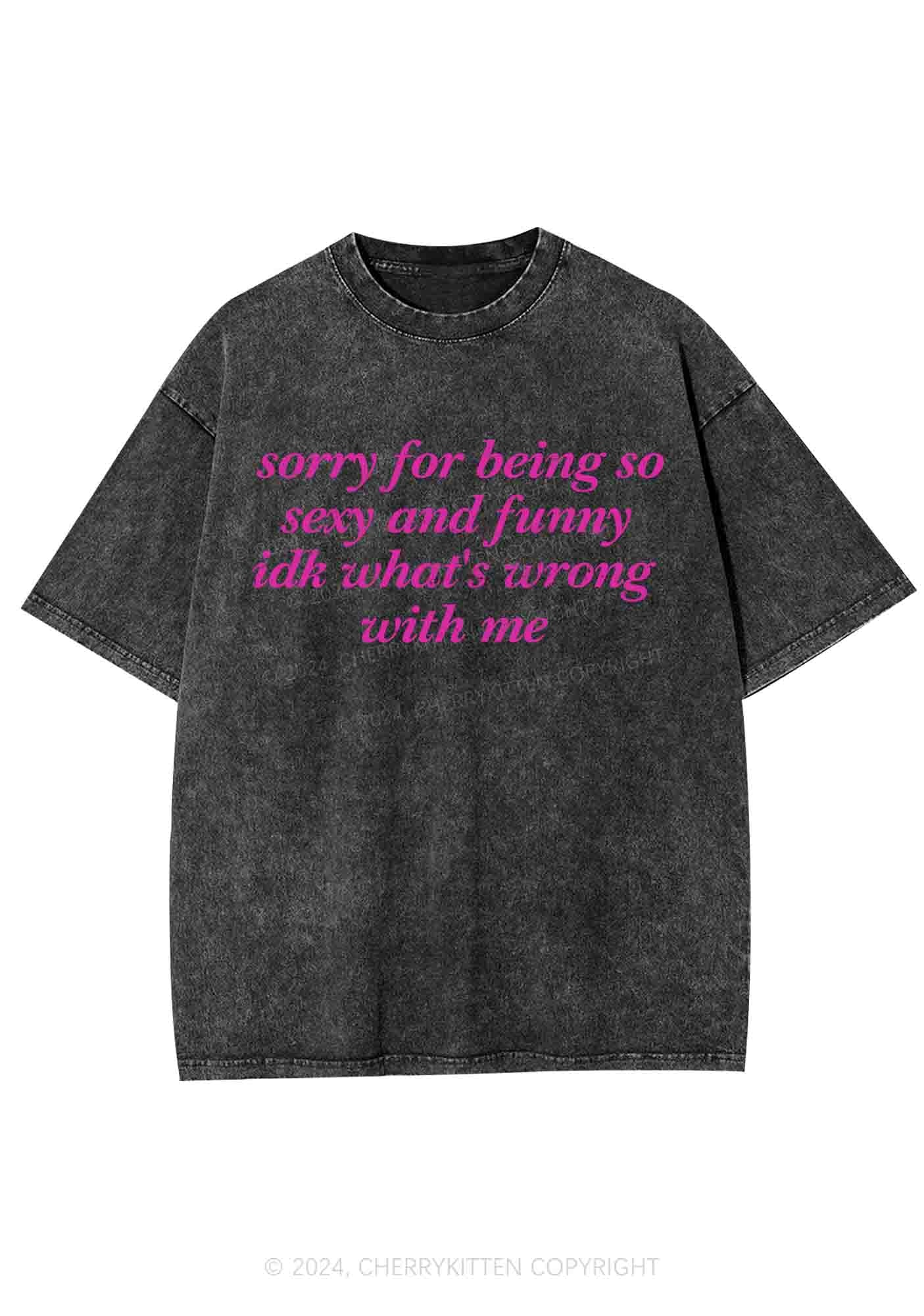 Sorry For Being So Funny Y2K Washed Tee Cherrykitten