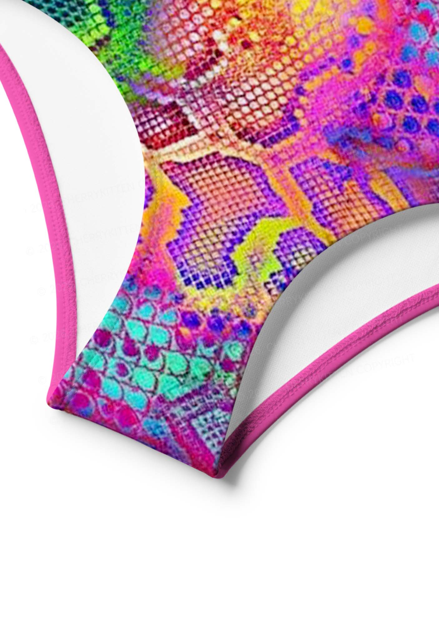Rainbow Snake Skin Y2K Print Bikini Set Cherrykitten