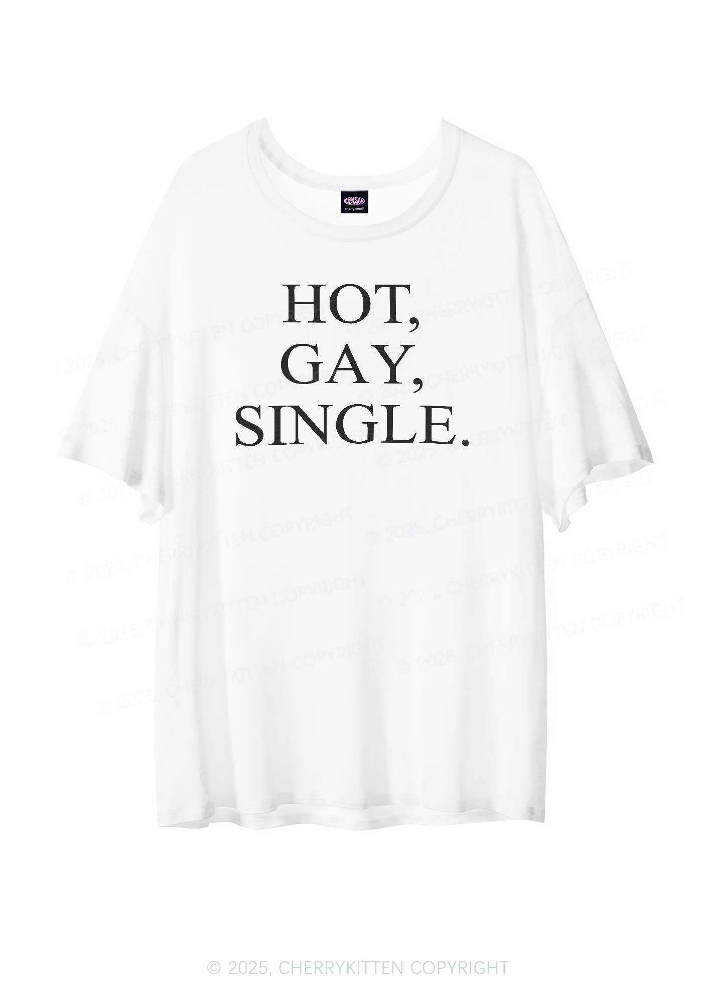 Hot Gay Single Pride Y2K Sheer Boyfriend Tee Cherrykitten