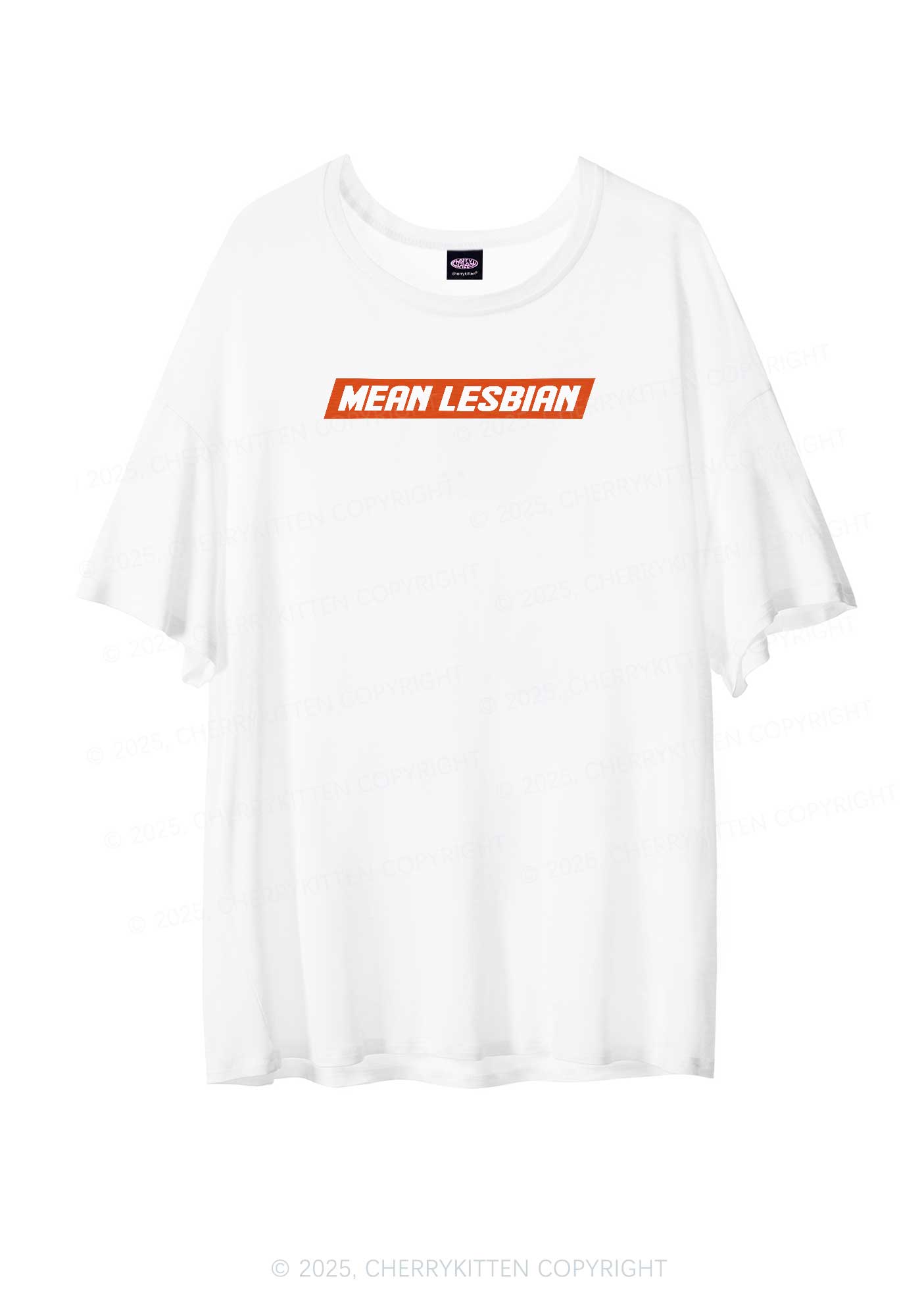 Mean Lesbian Pride Y2K Sheer Boyfriend Tee Cherrykitten