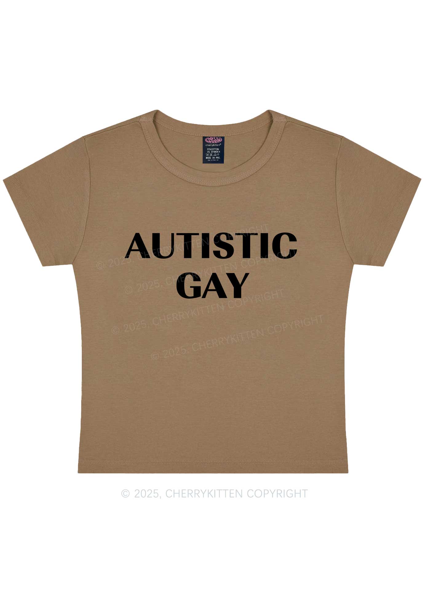 Autistic Gay Pride Y2K Baby Tee Cherrykitten