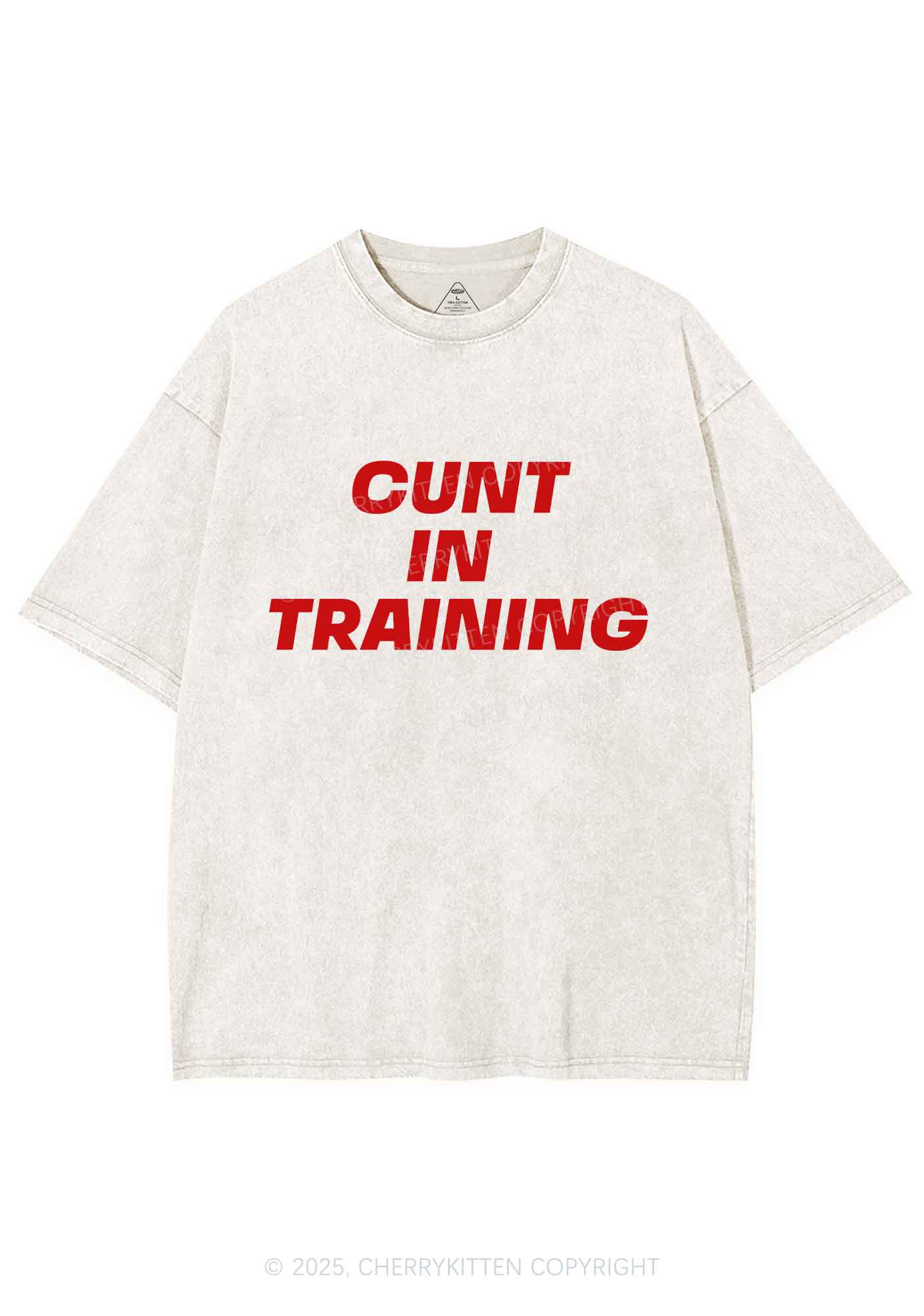 Cxxt In Training Y2K Shirts Washed Tee Cherrykitten