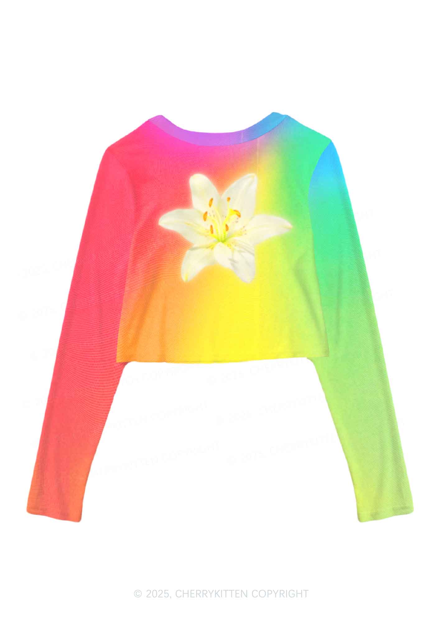 Lily in Rainbow Pride Y2K Mesh Long Sleeve Crop Top Cherrykitten