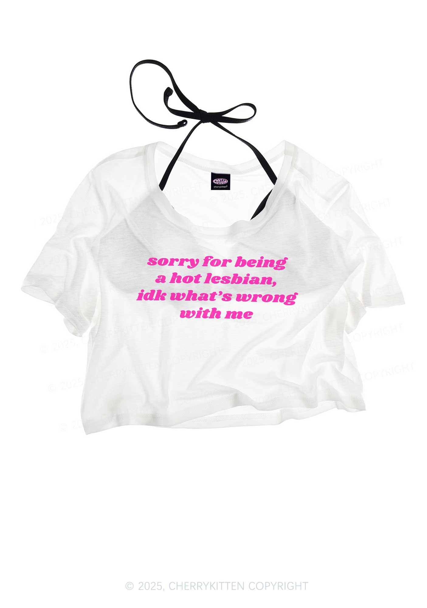 Sorry For Being Hot Lesbian Pride Y2K Sheer Crop Tee Cherrykitten