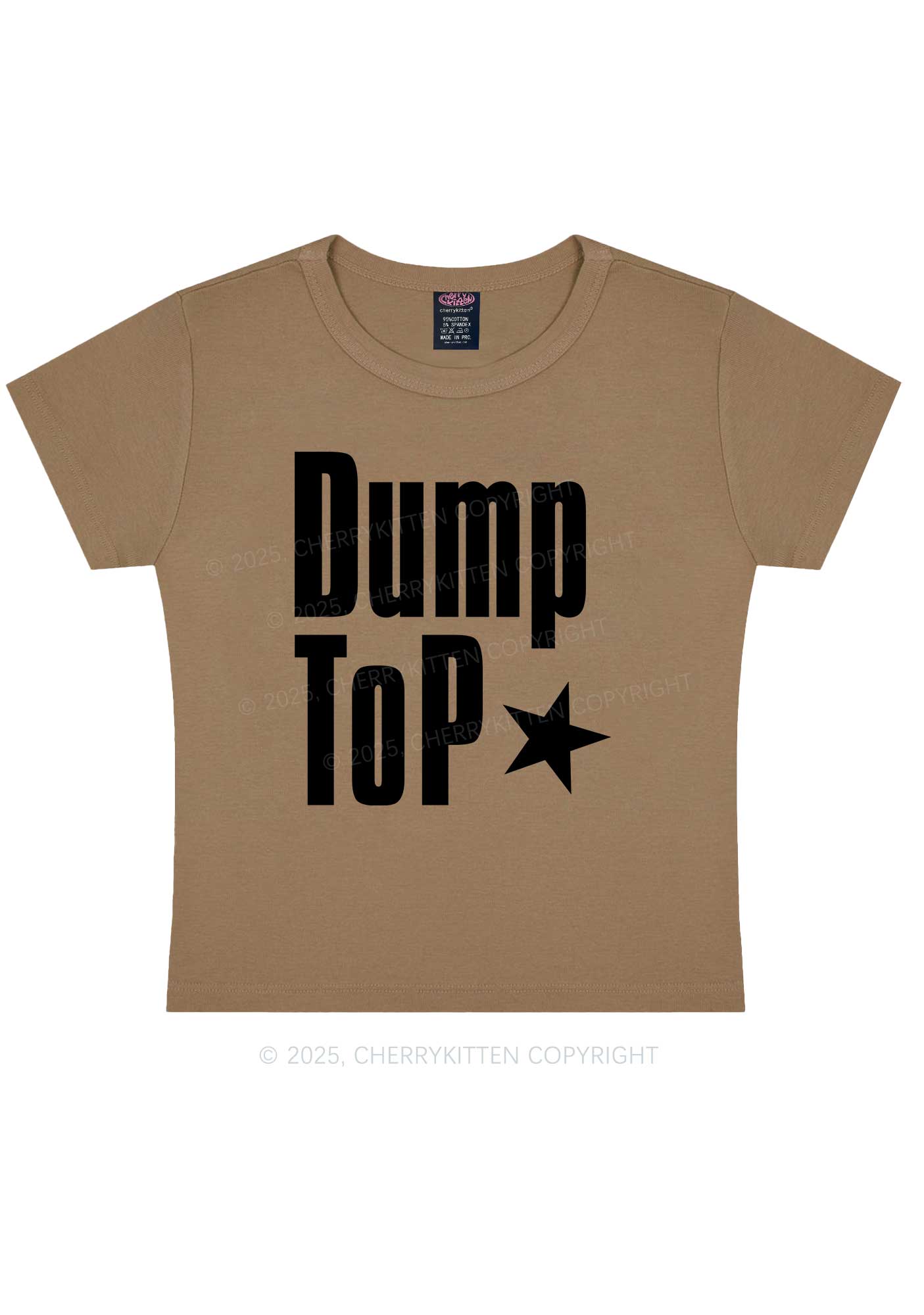 Dump Top Pride Y2K Baby Tee Cherrykitten