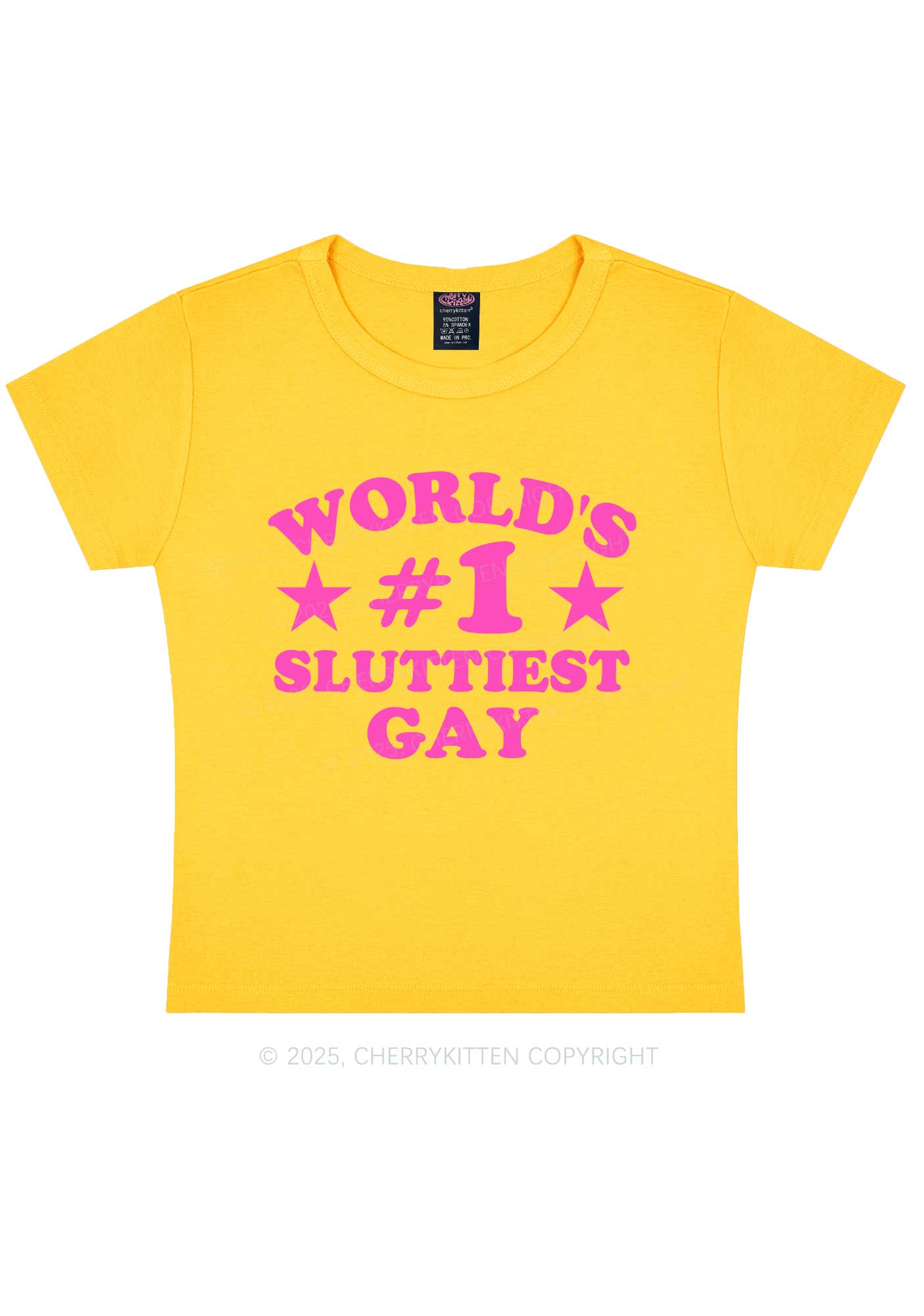 Worlds First Slxttiest Gay Pride Y2K Baby Tee Cherrykitten