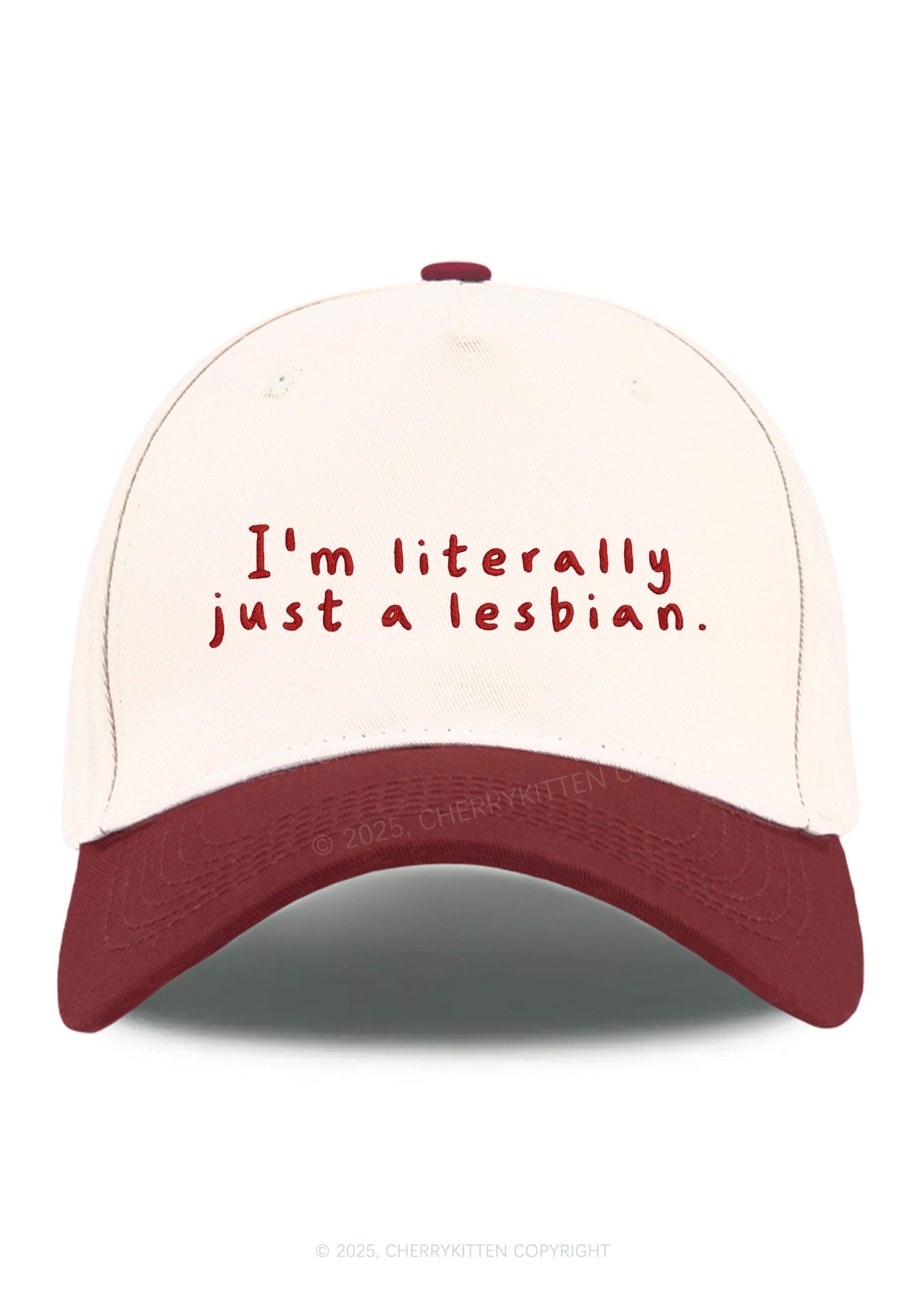 Embroidered Just A Lesbian Pride Y2K Color Block Baseball Cap Cherrykitten