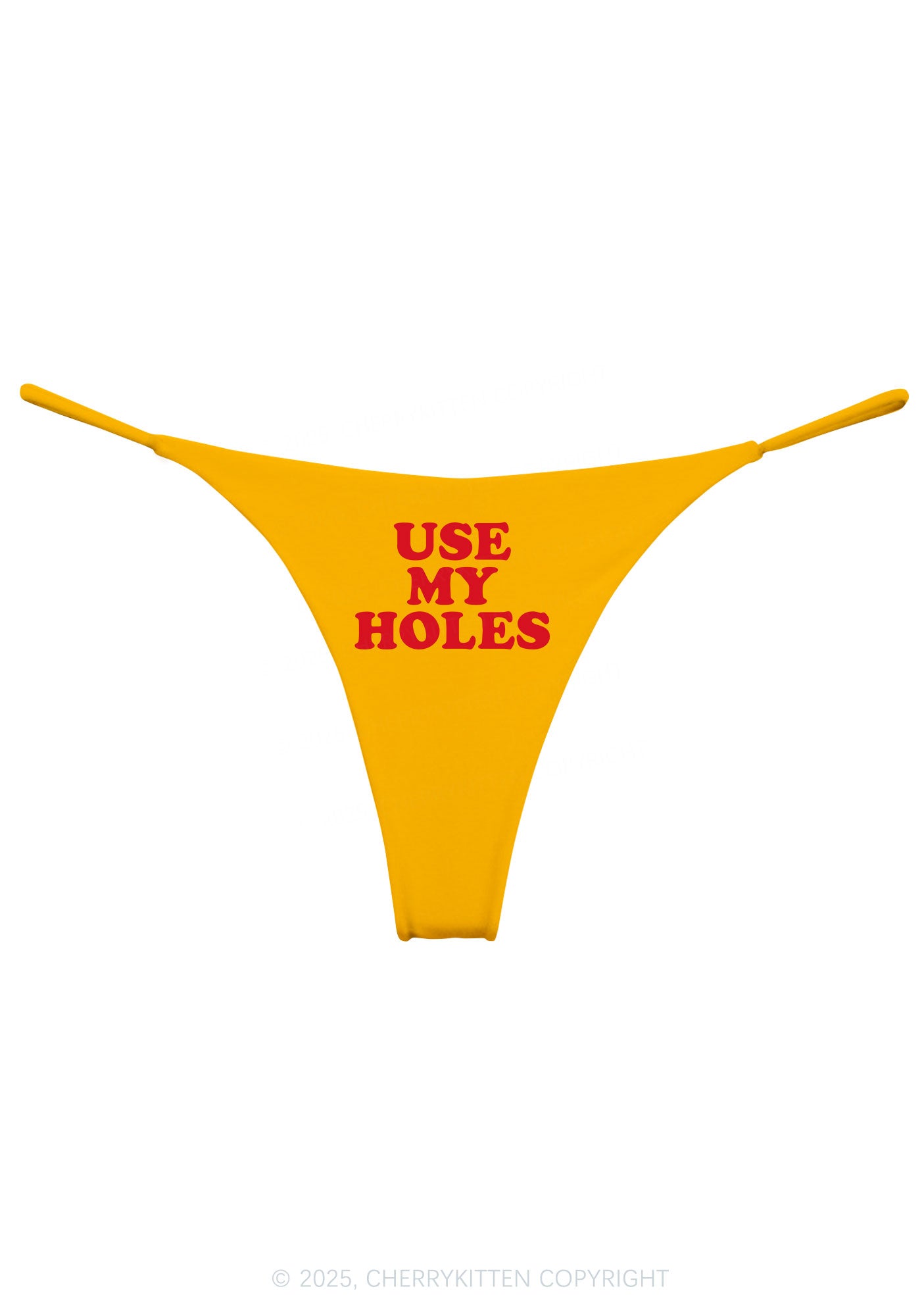 Use My Holes Y2K Bikini String Thong Cherrykitten
