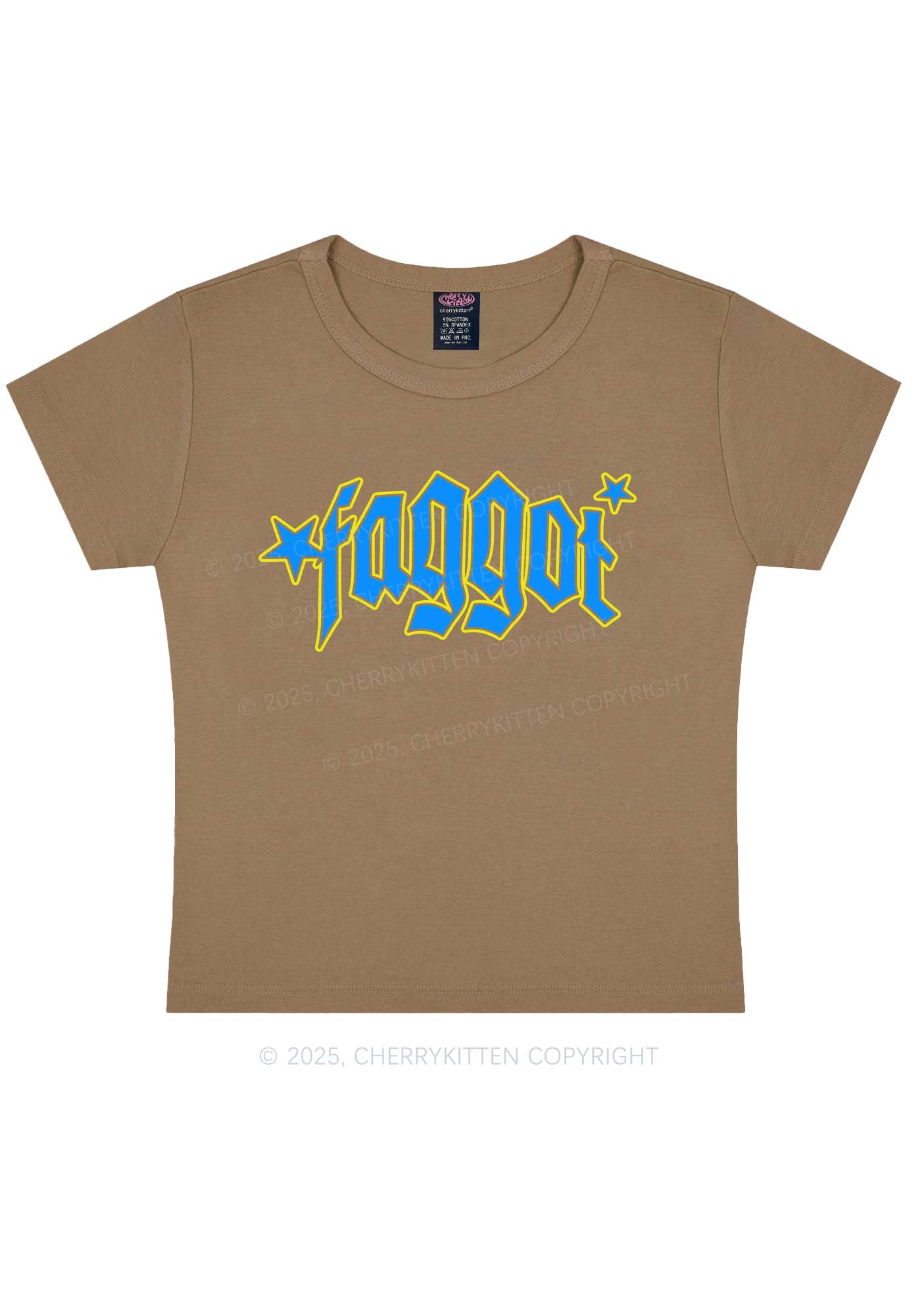 Faggot Stars Pride Y2K Baby Tee Cherrykitten