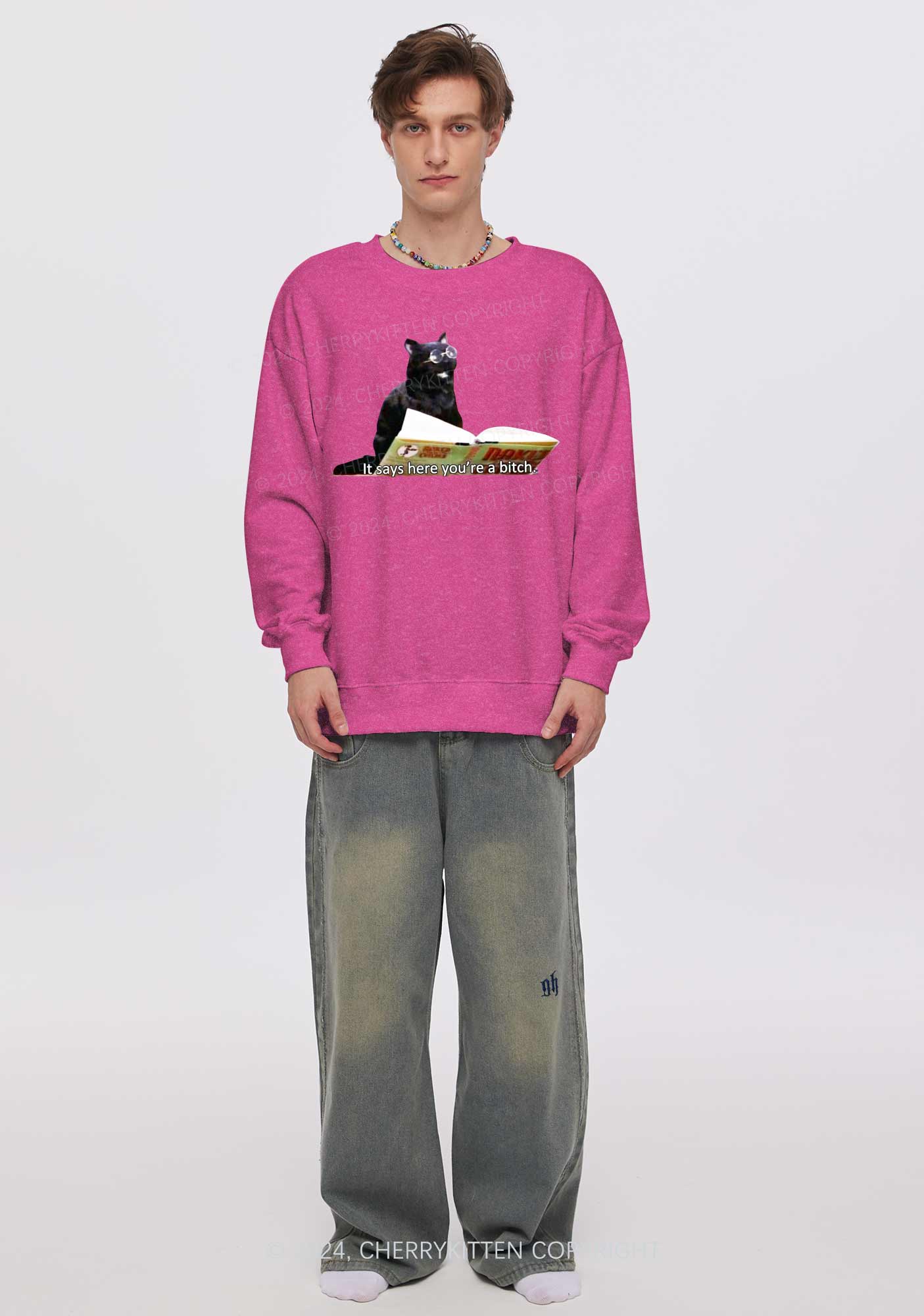 It Says Here You're A Bixxh Y2K Washed Sweatshirts Cherrykitten