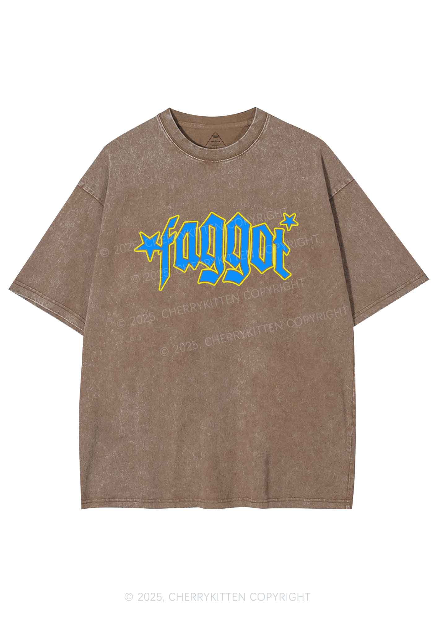 Faggot Stars Pride Y2K Shirts Washed Tee Cherrykitten