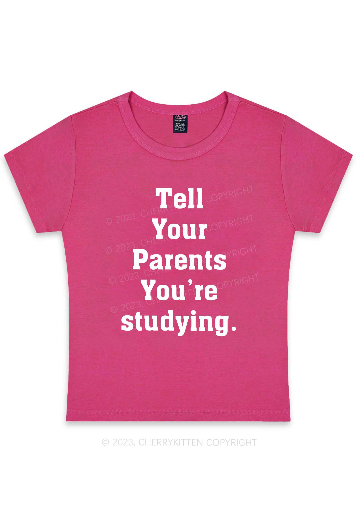 Curvy You’re Studying Y2K Baby Tee Cherrykitten
