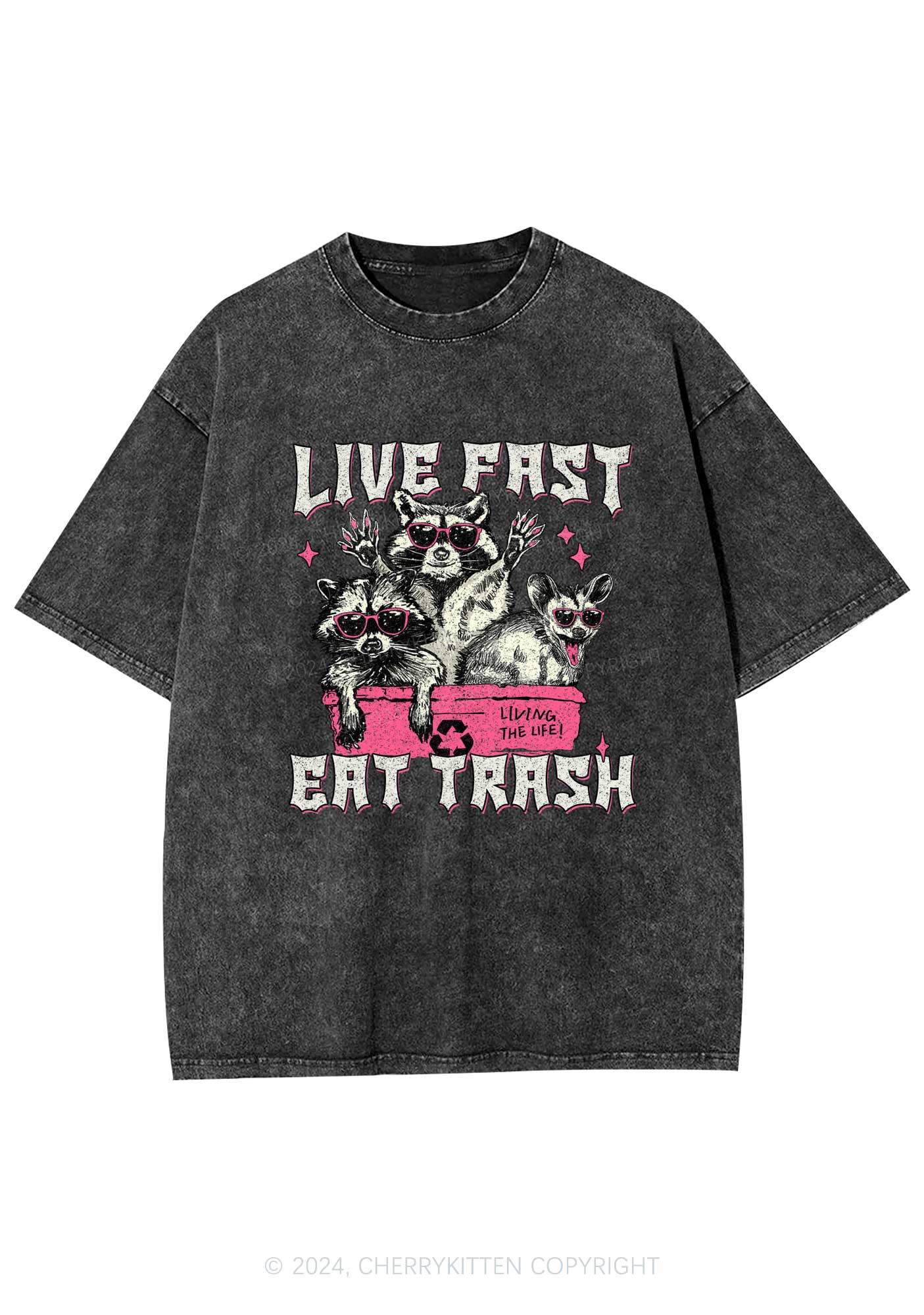 Live Fast Eat Trash Y2K Washed Tee Cherrykitten