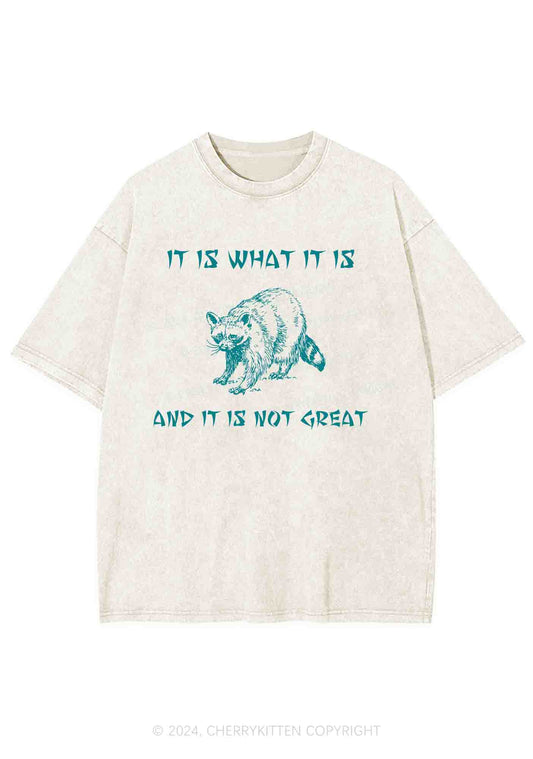 It Is What It Is And It Is Not Great Y2K Washed Tee Cherrykitten
