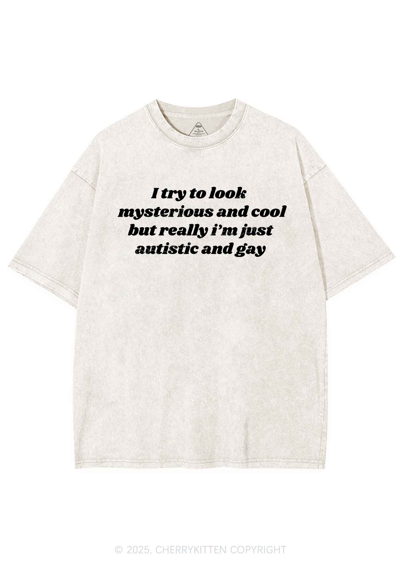 Im Just Autistic And Gay Pride Y2K Shirts Washed Tee Cherrykitten
