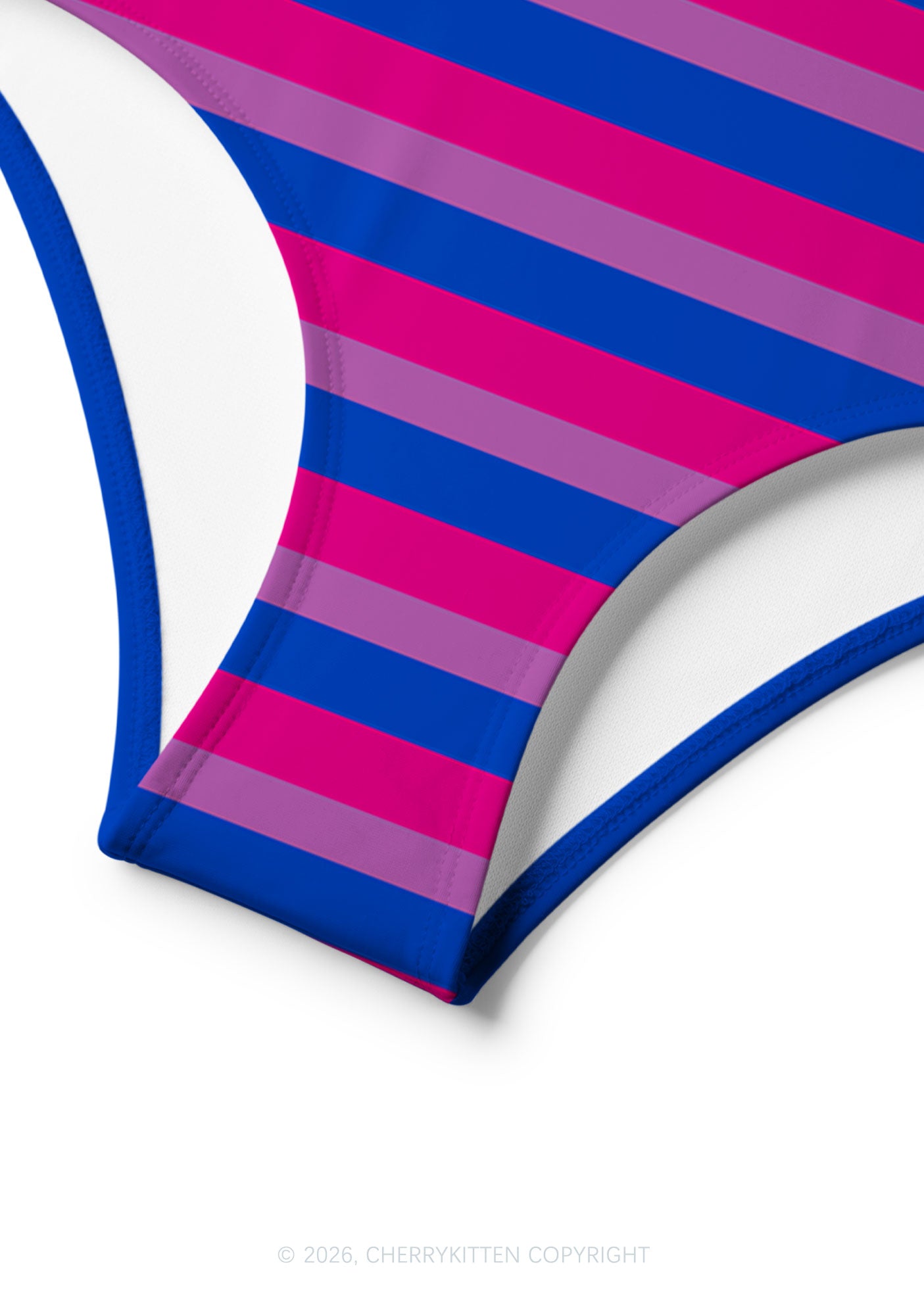 Bisexual Flag Stripe Pride Y2K Print Bikini Set Cherrykitten