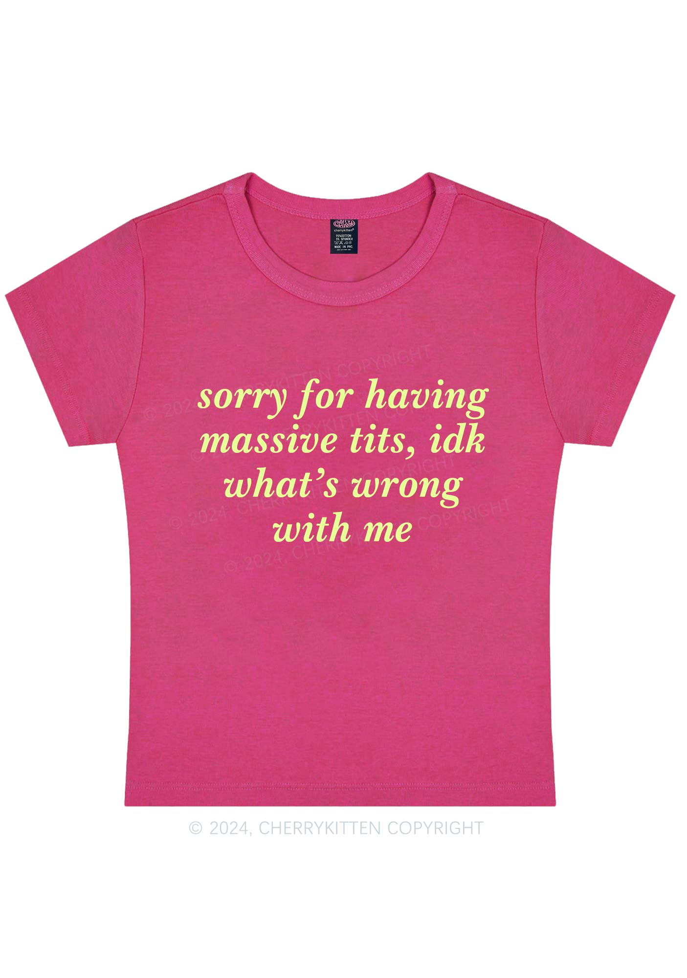 Sorry For Massive Txts Y2K Baby Tee Cherrykitten
