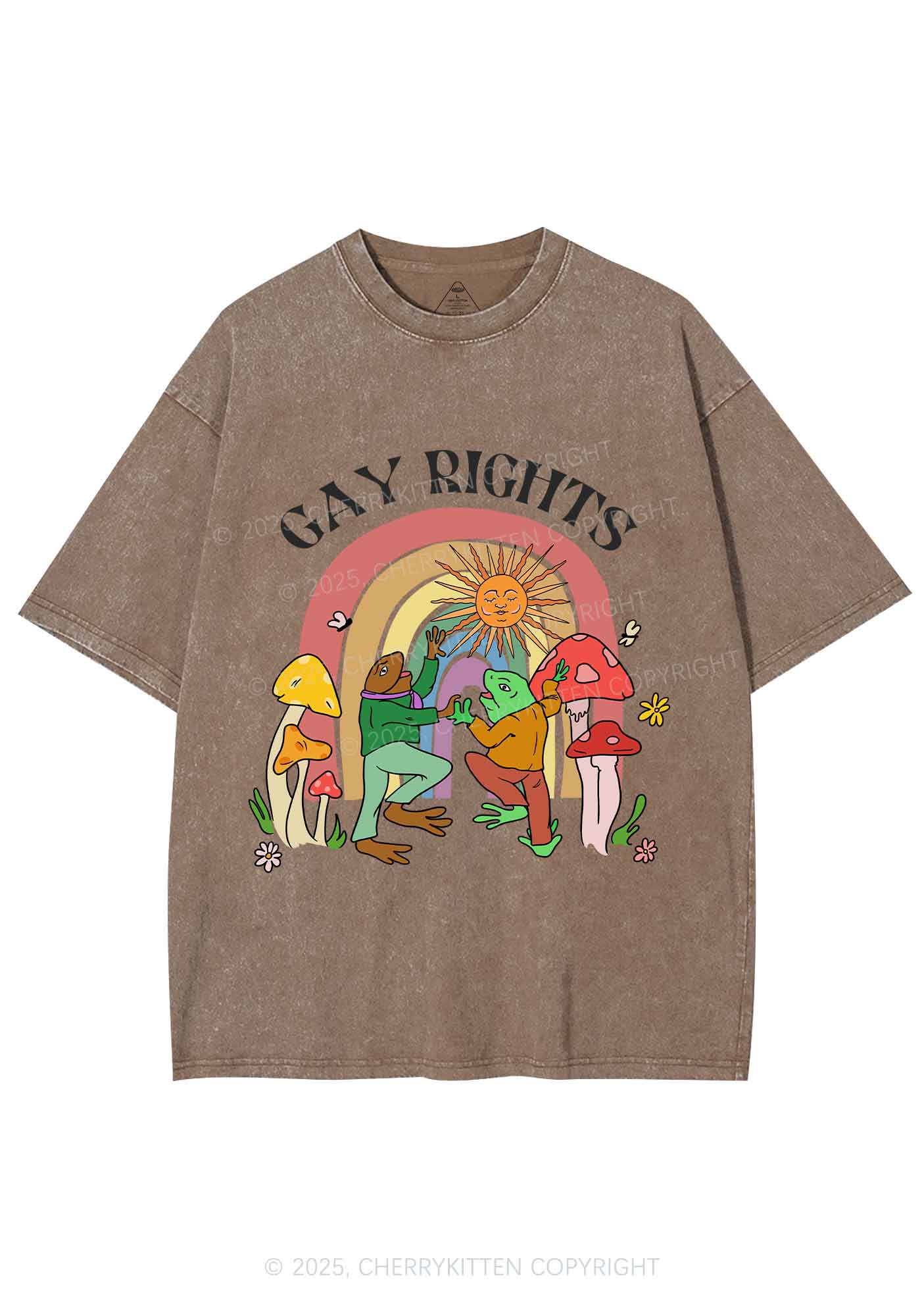 Gay Rights Pride Y2K Shirts Washed Tee Cherrykitten