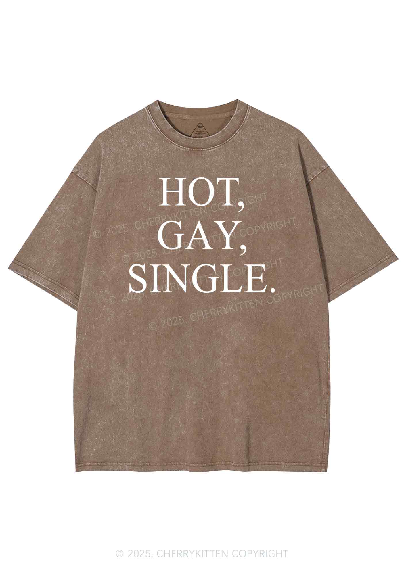 Hot Gay Single Pride Y2K Shirts Washed Tee Cherrykitten