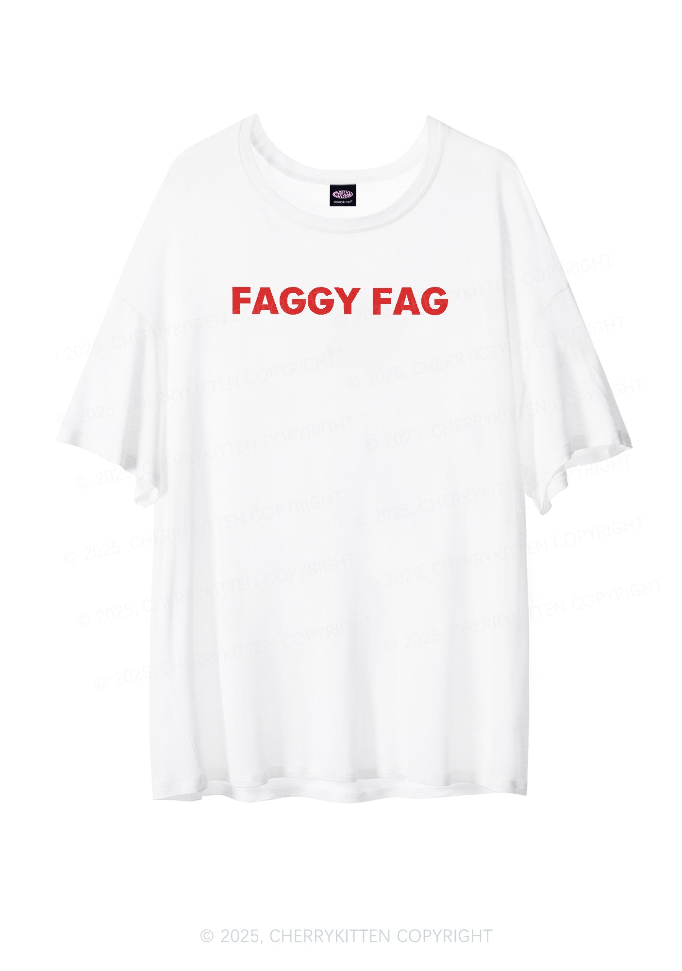 Faggy Fag Pride Y2K Sheer Boyfriend Tee Cherrykitten