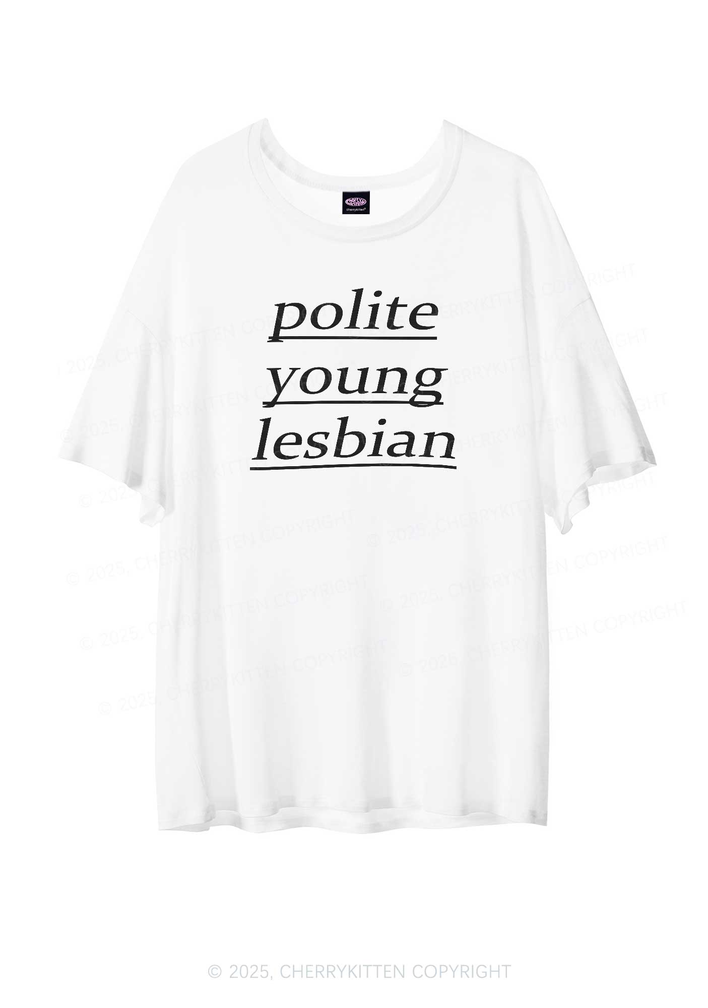 Polite Young Lesbian Pride Y2K Sheer Boyfriend Tee Cherrykitten