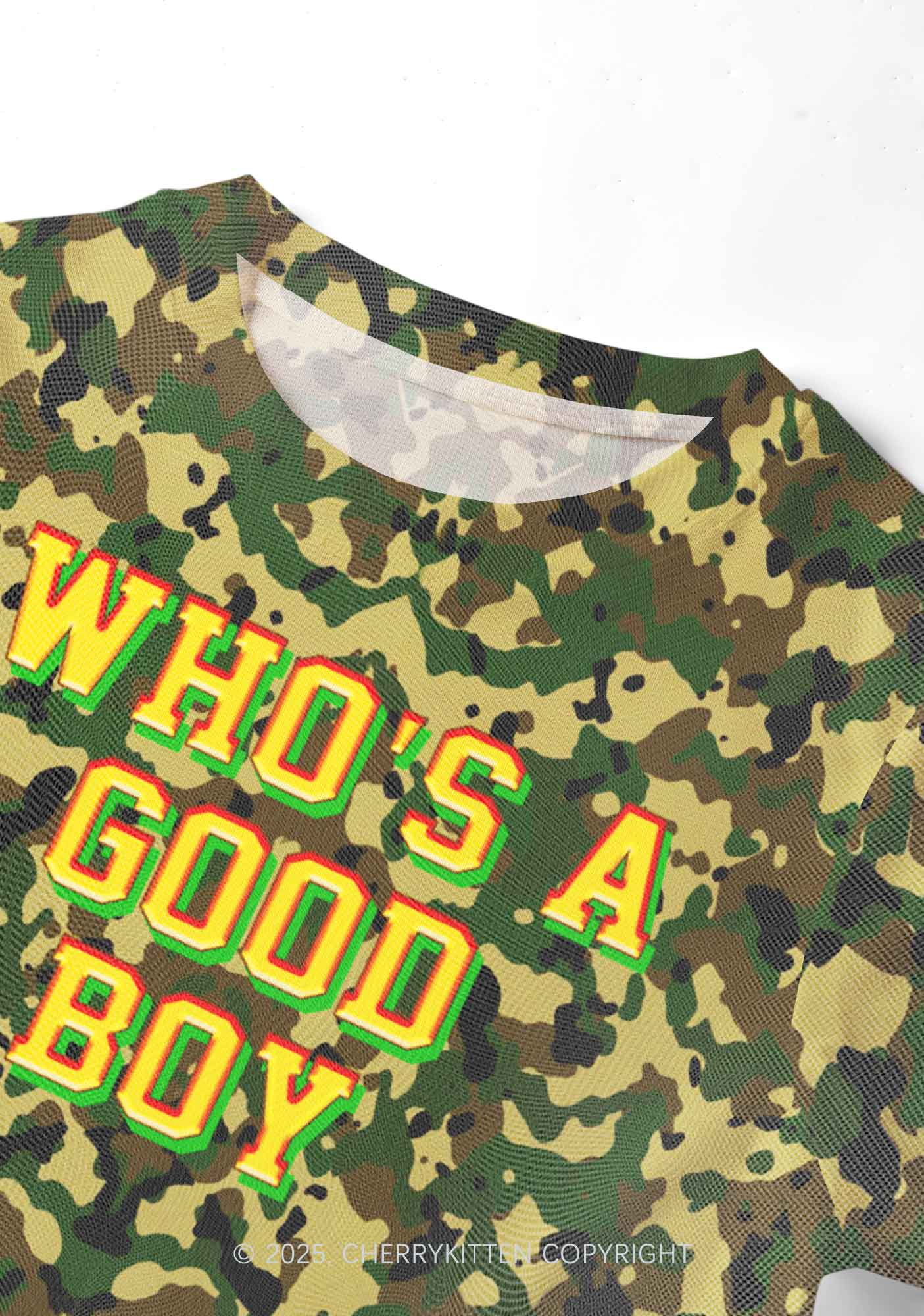 Whos A Good Boy Y2K Mesh Crop Top Cherrykitten