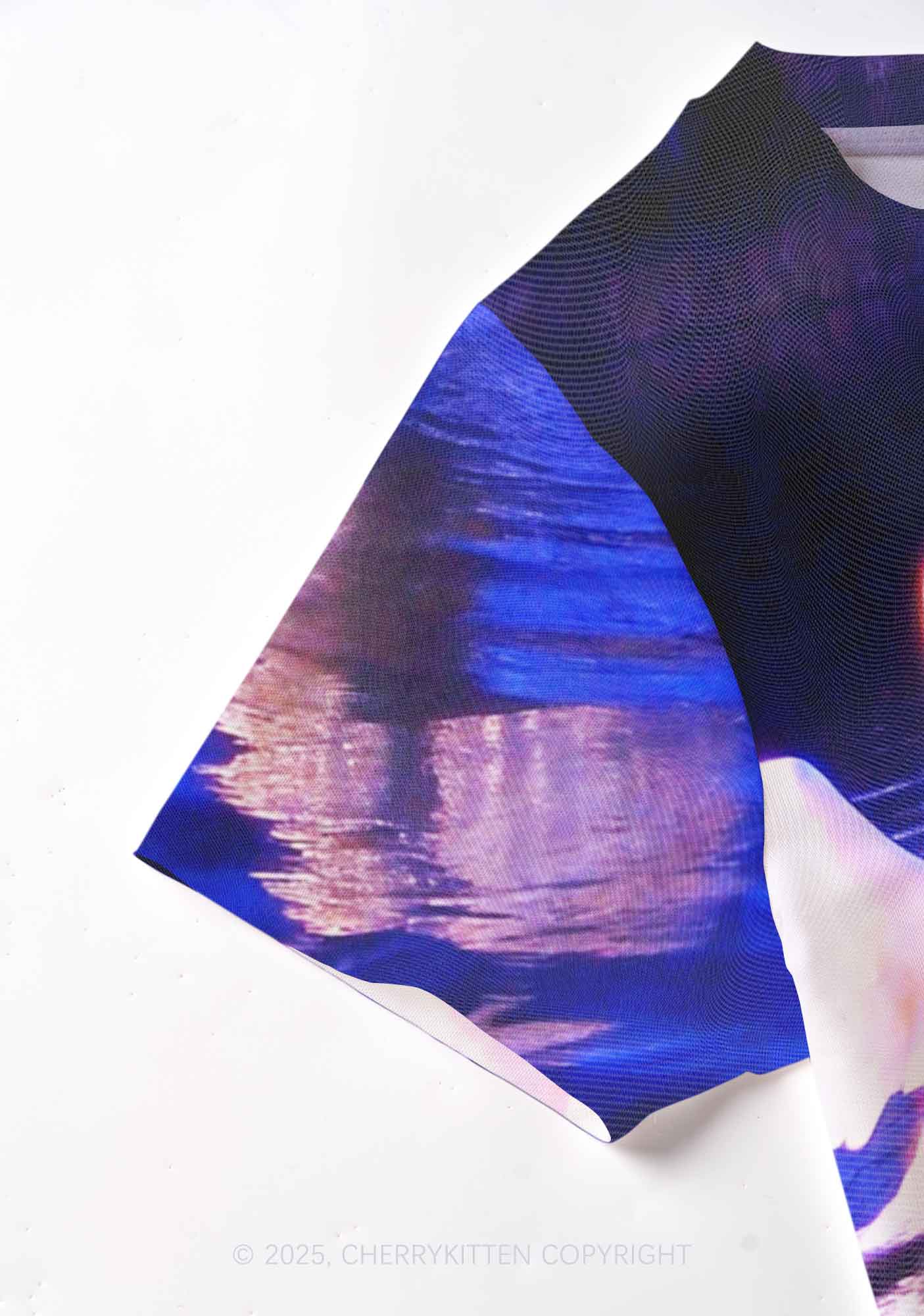 Swans on Water Y2K Mesh Crop Top Cherrykitten
