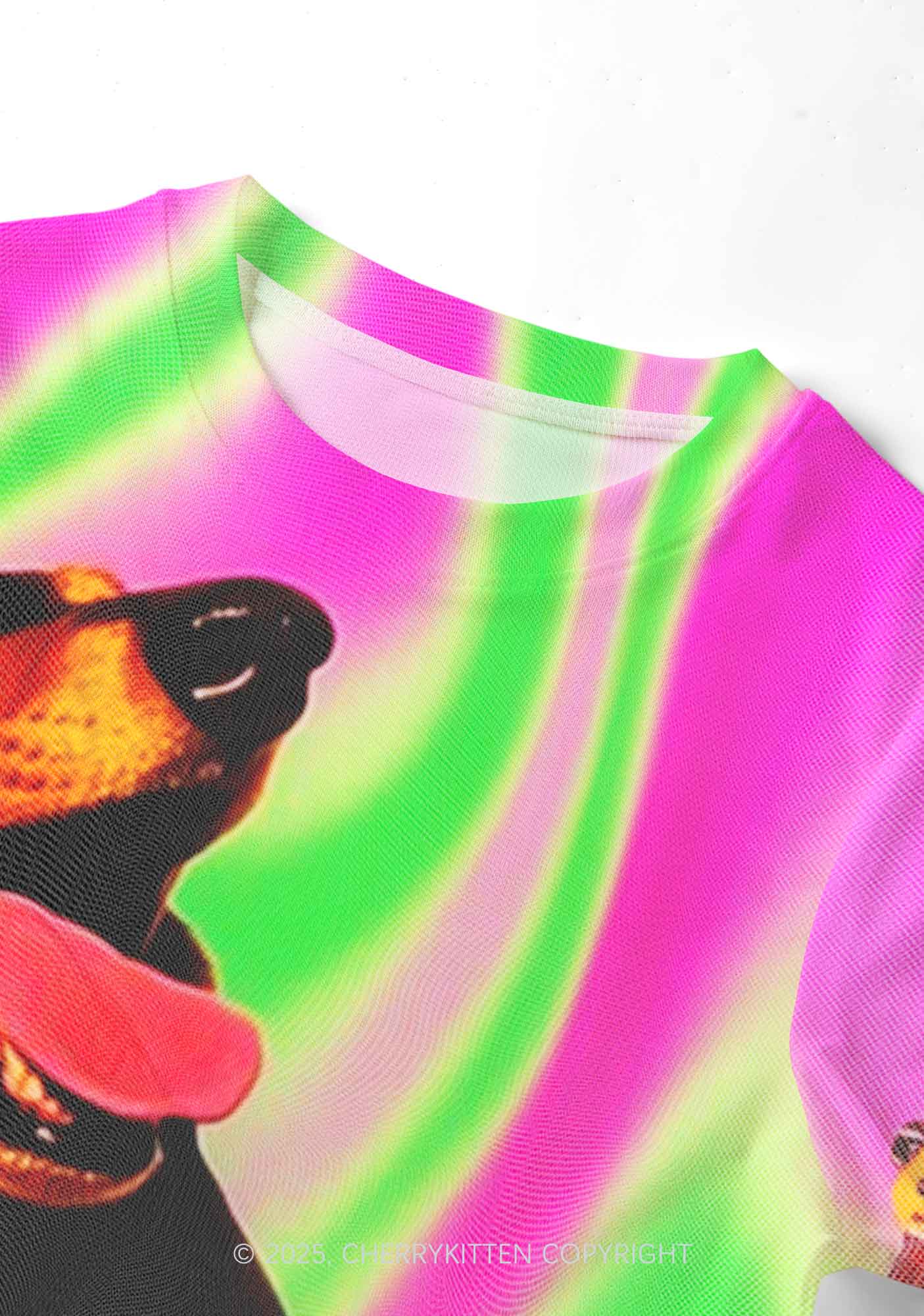 Rocking Puppy Y2K Mesh Crop Top Cherrykitten