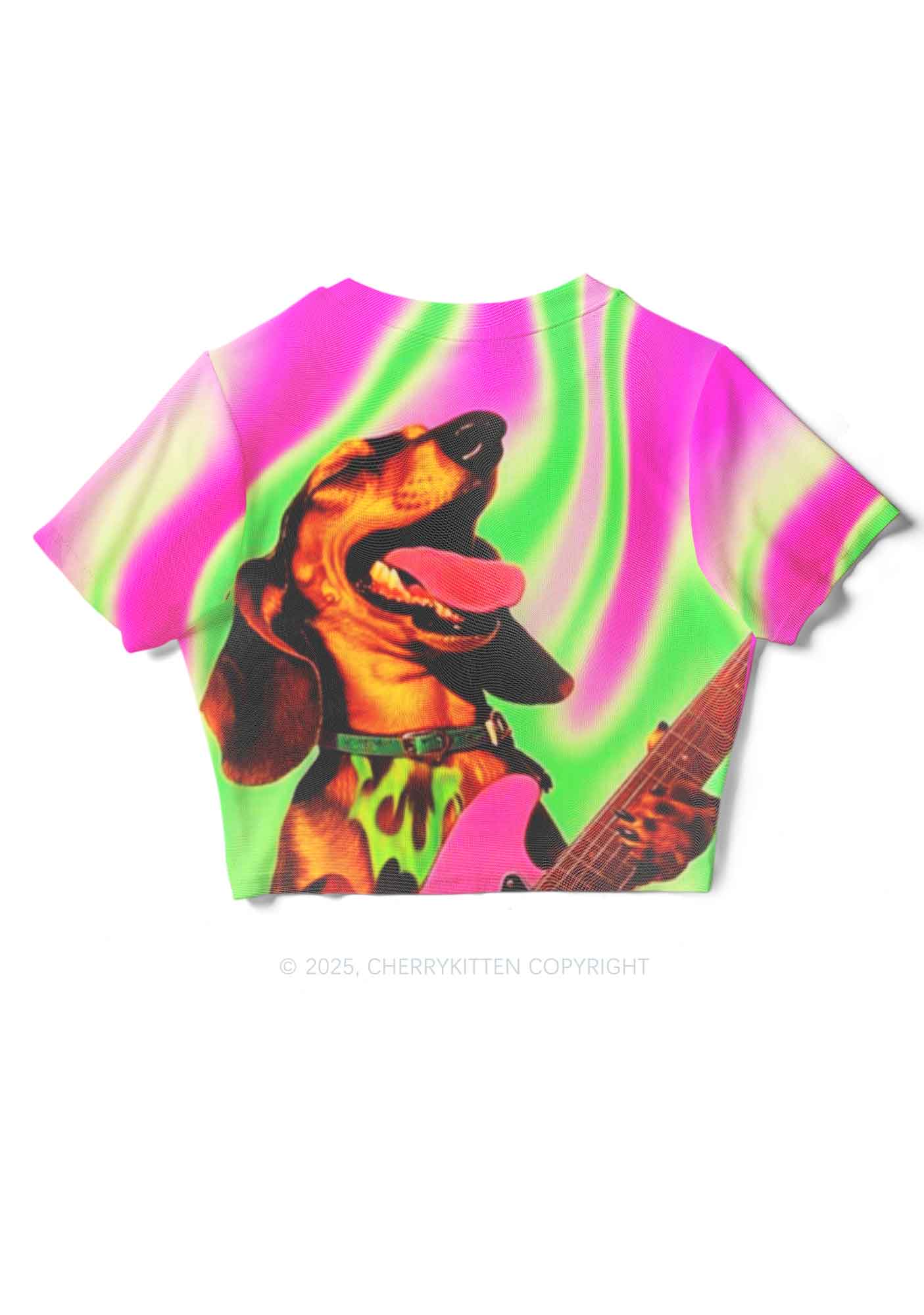 Rocking Puppy Y2K Mesh Crop Top Cherrykitten