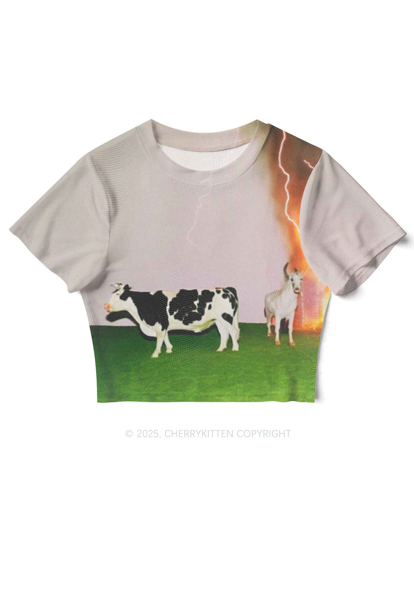 Pony Cow Y2K Mesh Crop Top Cherrykitten