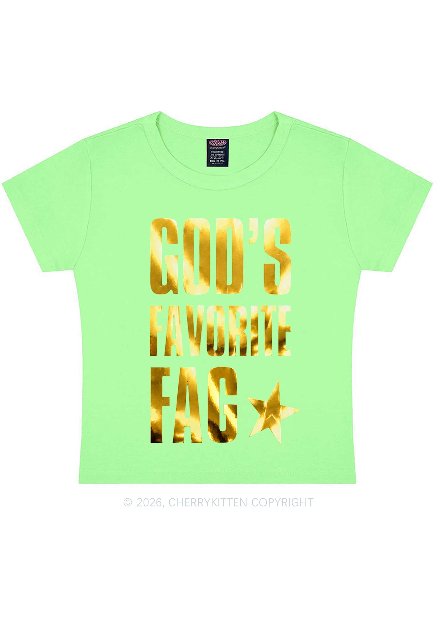 Gods Favorite Fag Pride Silver Foil Printed Y2K Baby Tee Cherrykitten