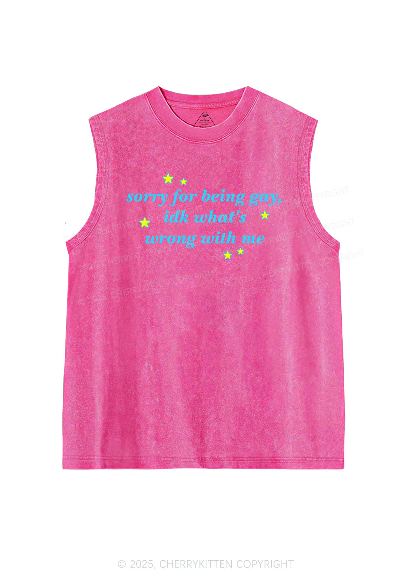 Sorry For Being Gay Pride Y2K Washed Muscle Tank Cherrykitten