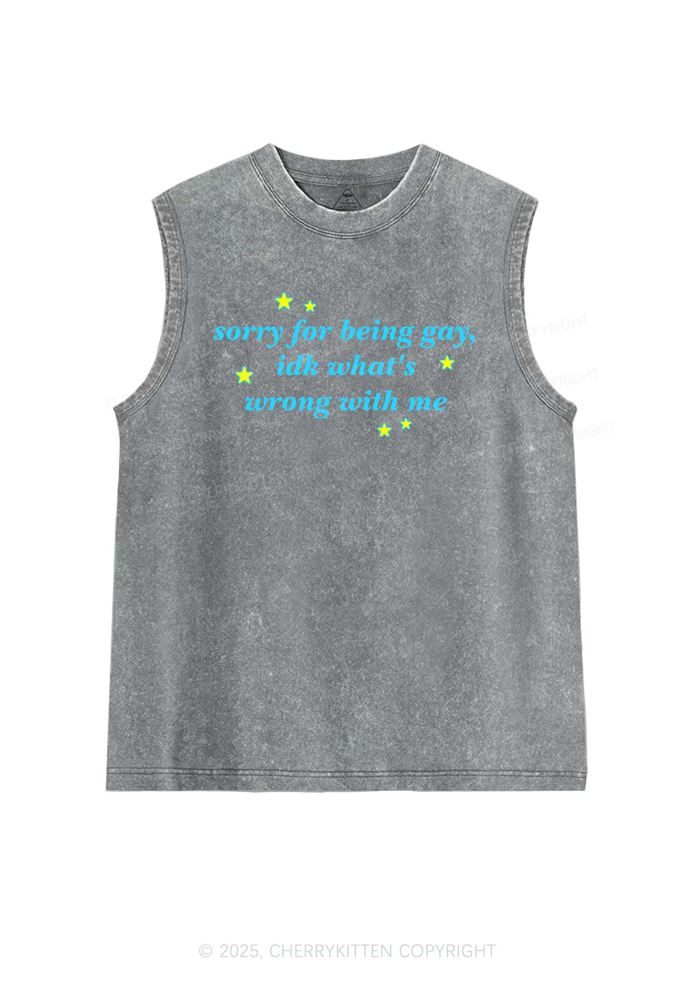 Sorry For Being Gay Pride Y2K Washed Muscle Tank Cherrykitten