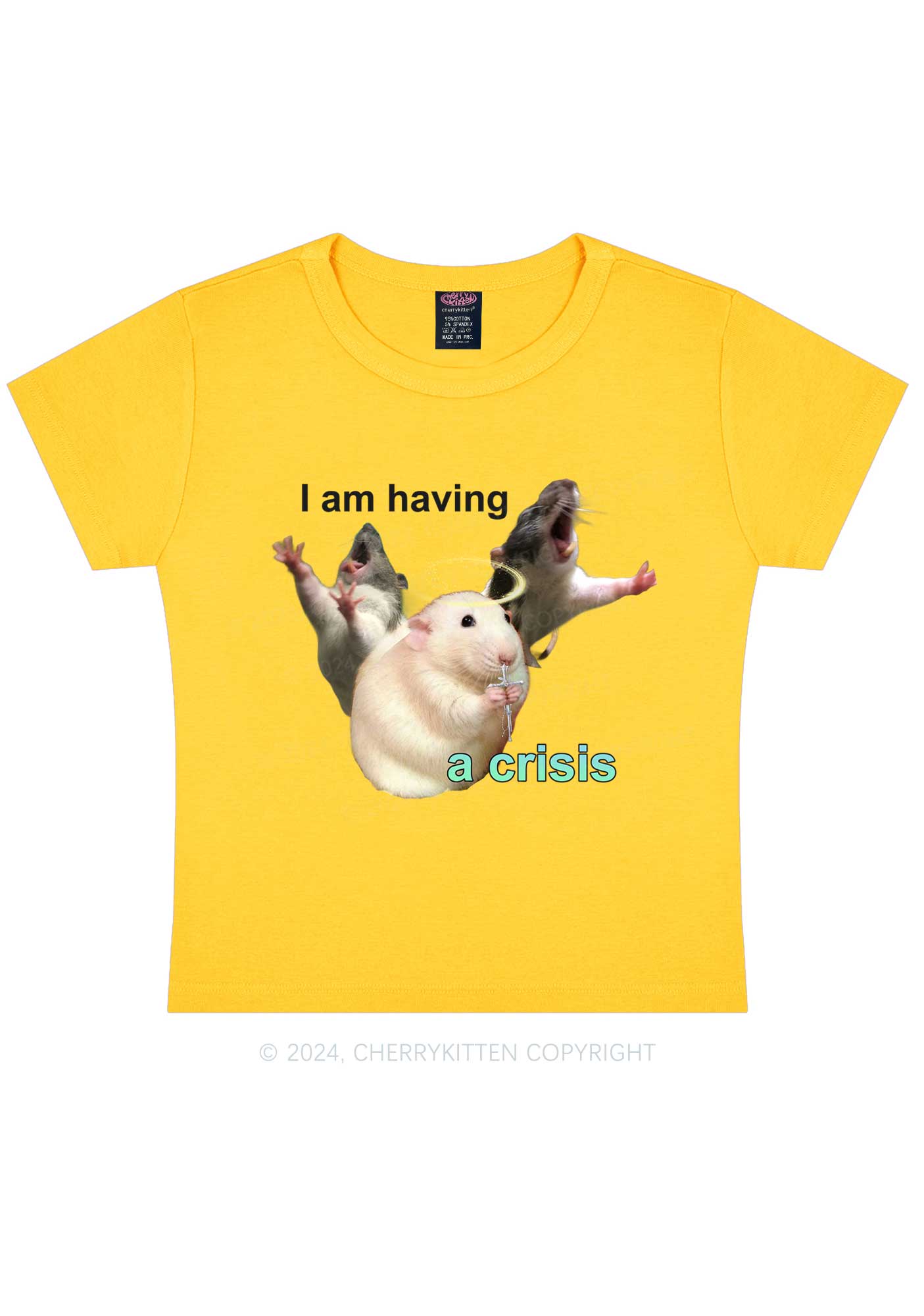 I Am Having Crisis Y2K Baby Tee Cherrykitten
