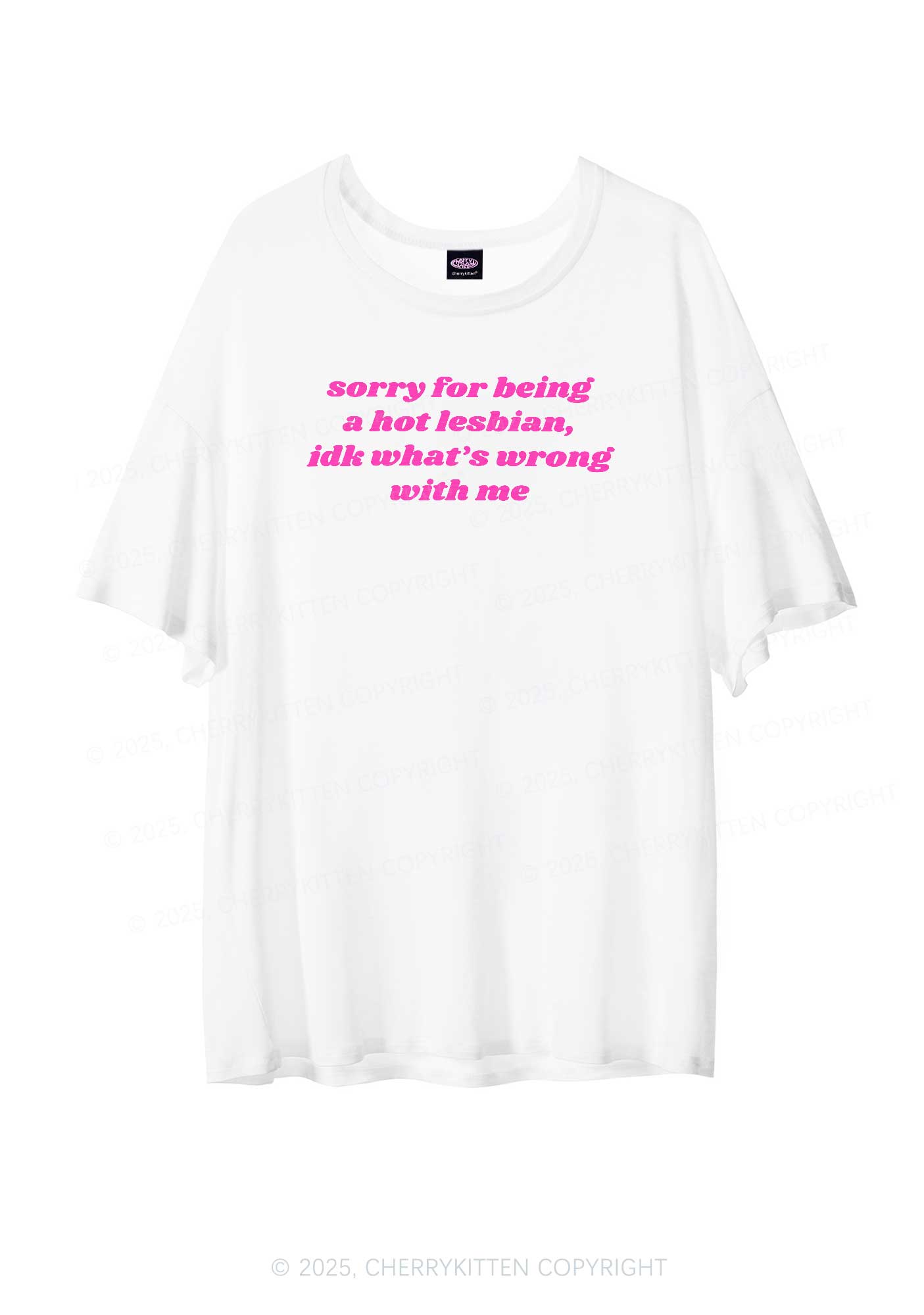 Sorry For Being Hot Lesbian Pride Y2K Sheer Boyfriend Tee Cherrykitten