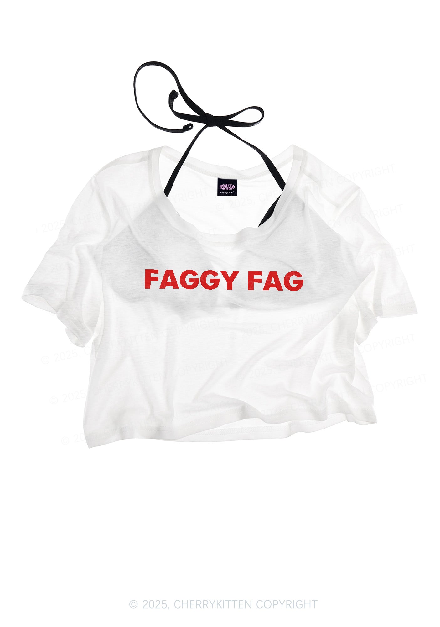 Faggy Fag Pride Y2K Sheer Crop Tee Cherrykitten