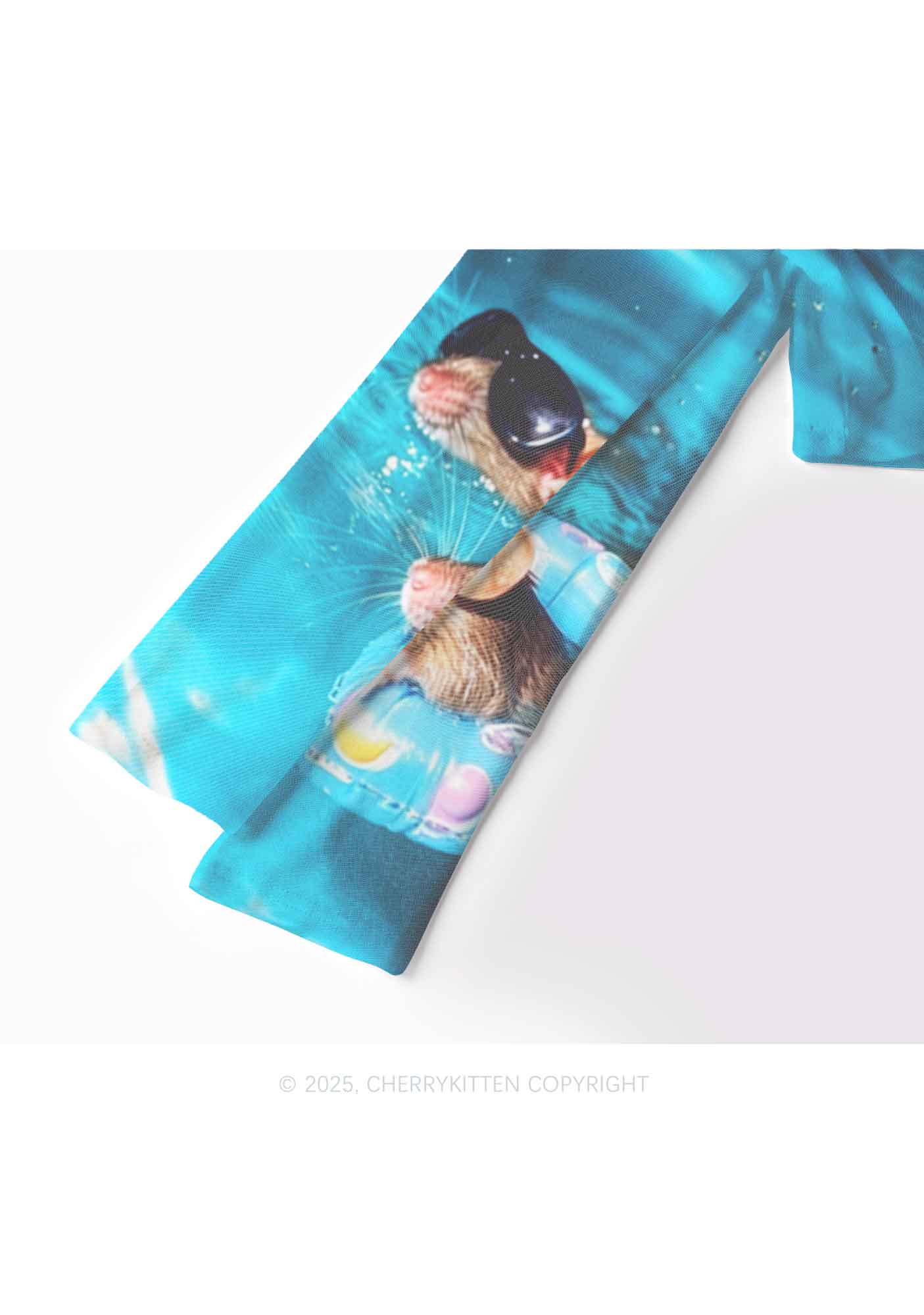 Pool Rats Y2K Mesh Long Sleeve Crop Top Cherrykitten