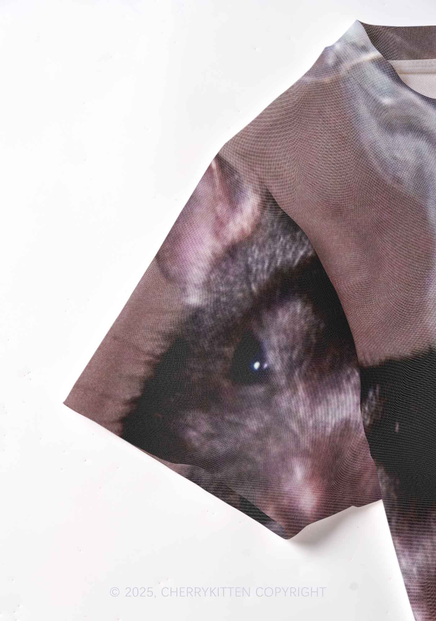 Smoking Rats Y2K Mesh Crop Top Cherrykitten
