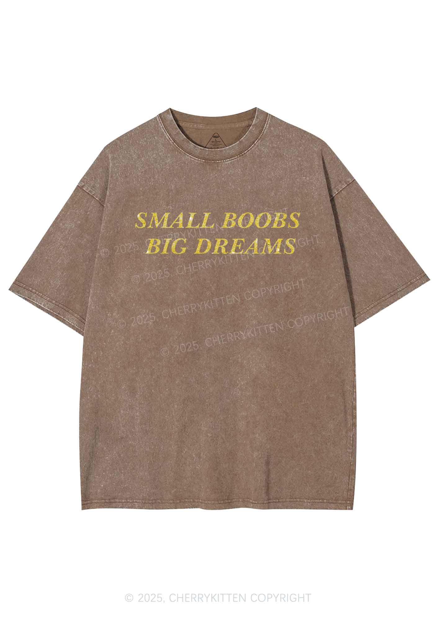 Glitter Small But Big Dreams Y2K Shirts Washed Tee Cherrykitten
