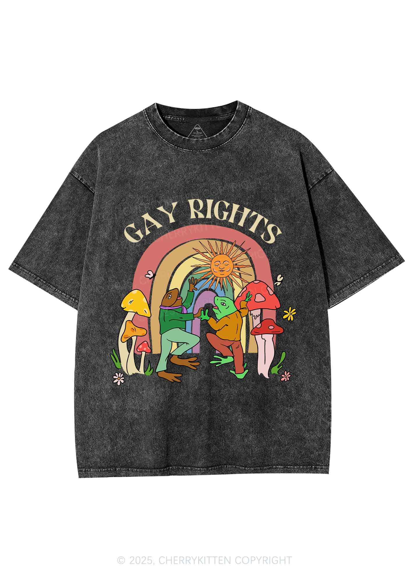 Gay Rights Pride Y2K Shirts Washed Tee Cherrykitten