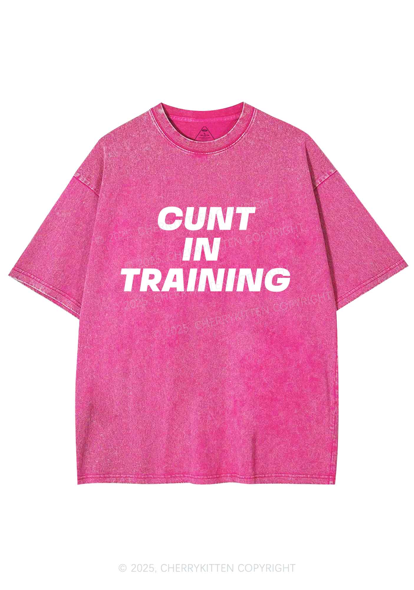 Cxxt In Training Y2K Shirts Washed Tee Cherrykitten