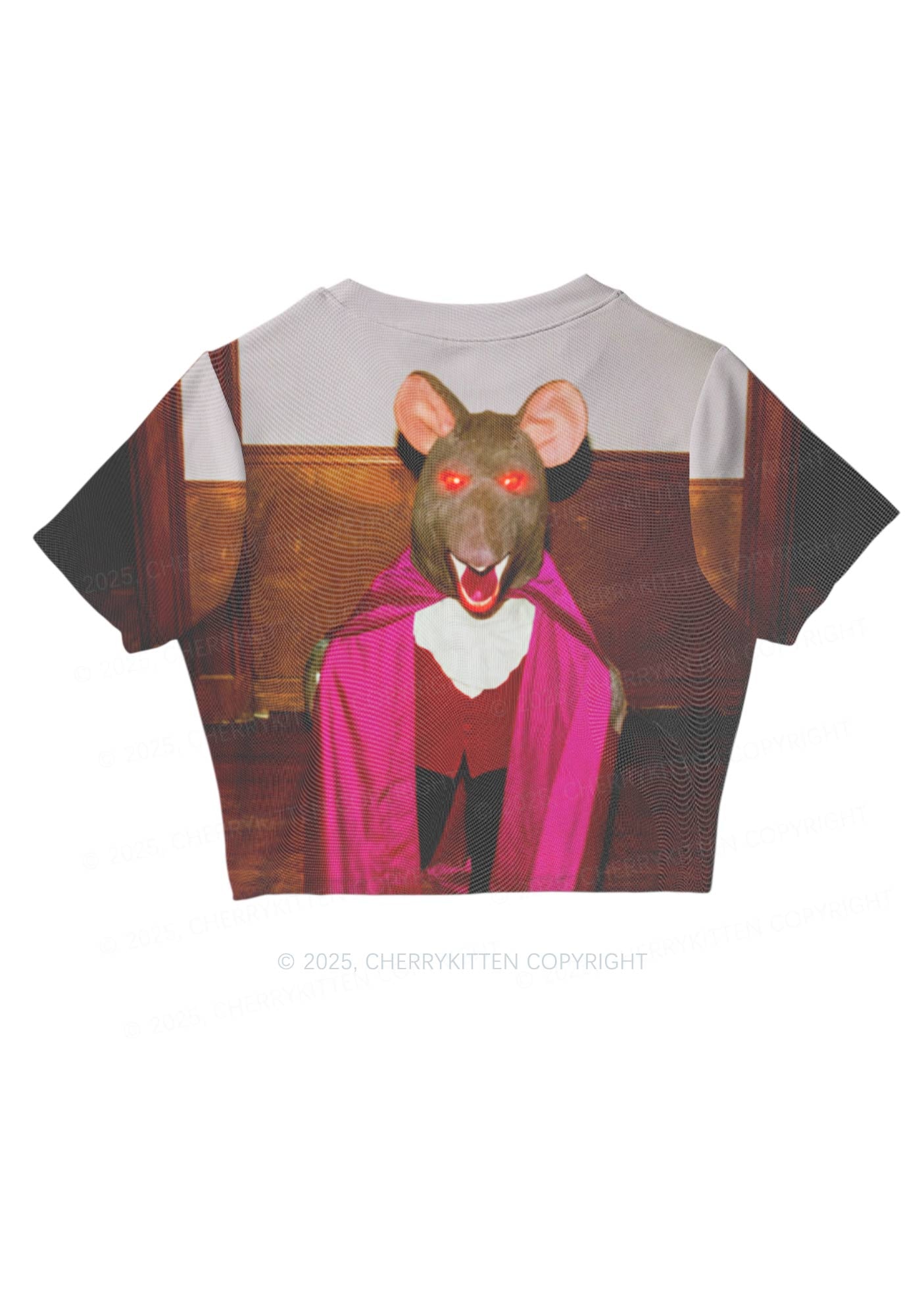 Caped Ratz Y2K Mesh Crop Top Cherrykitten