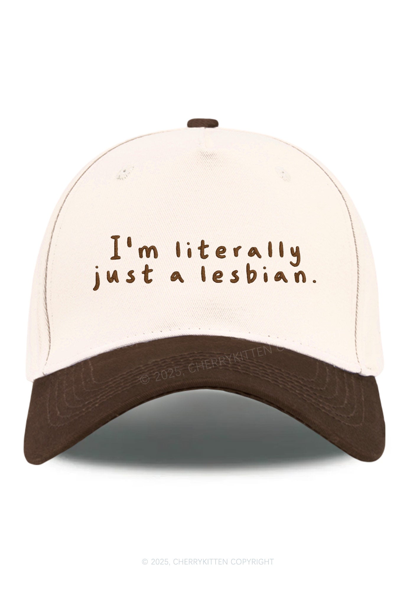 Embroidered Just A Lesbian Pride Y2K Color Block Baseball Cap Cherrykitten