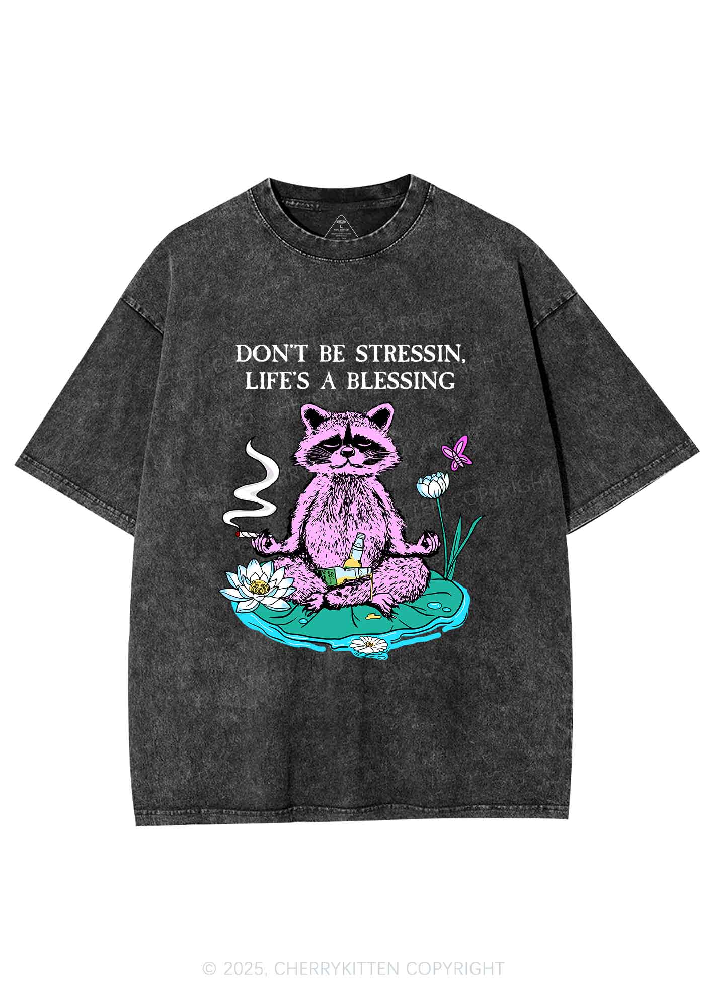 Dont Stress Raccoon Y2K Shirts Washed Tee Cherrykitten