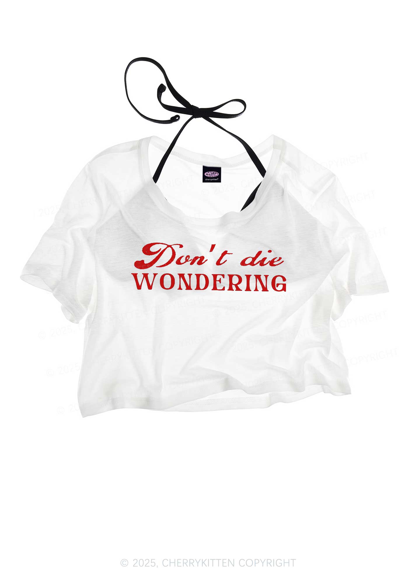Dont Die Wondering Pride Y2K Sheer Crop Tee Cherrykitten