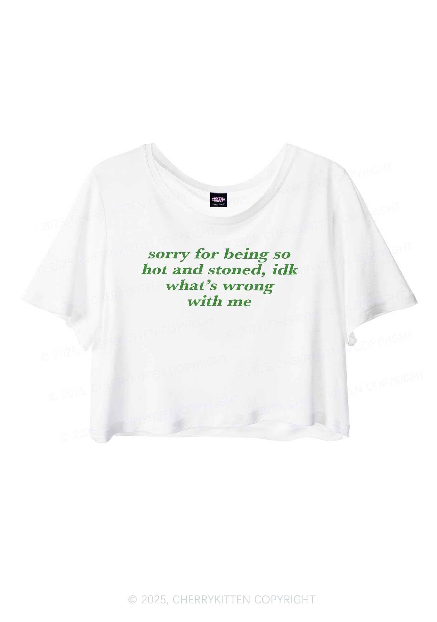 Sorry For Being Hot And Stoned Y2K Sheer Crop Tee Cherrykitten