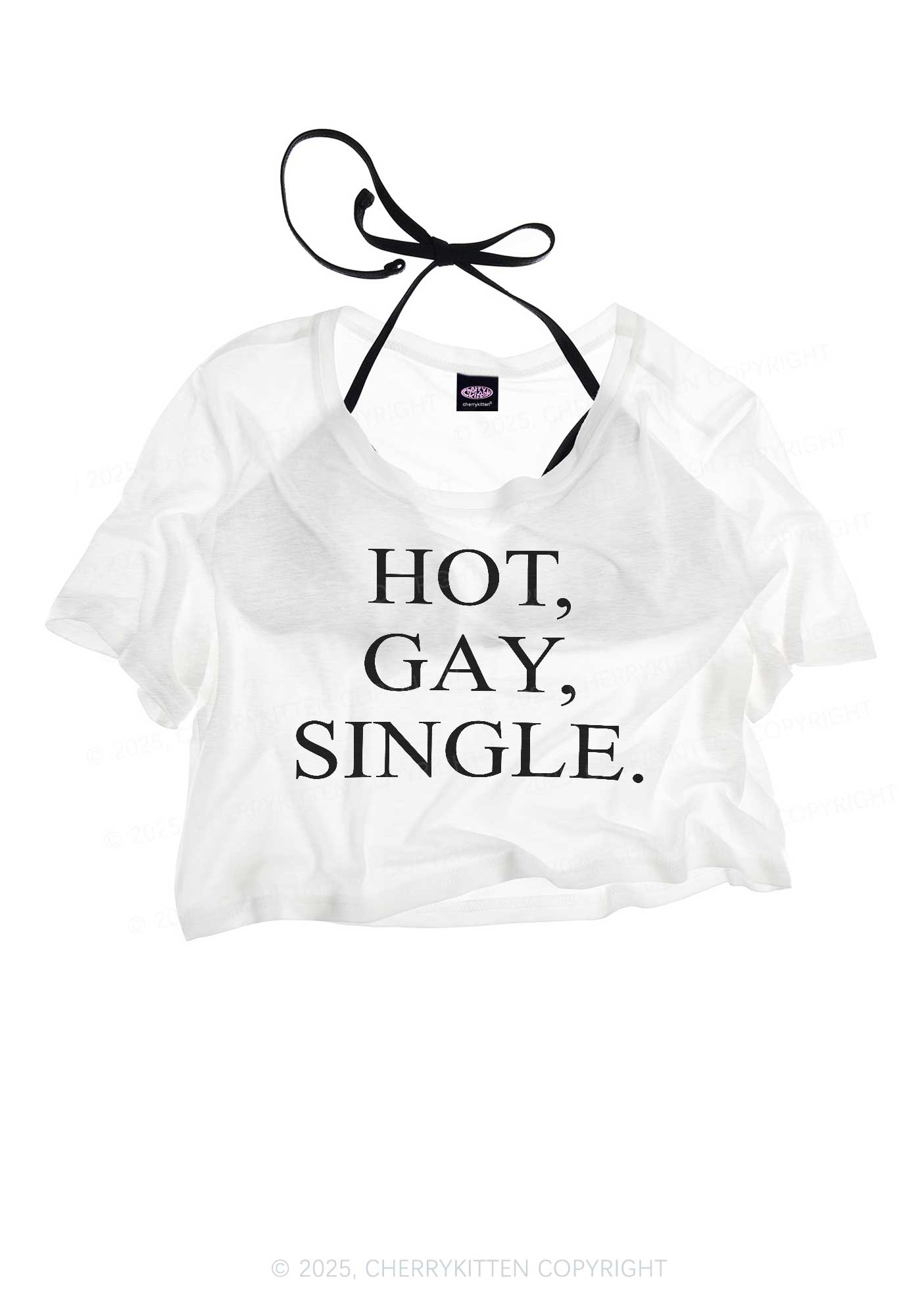 Hot Gay Single Pride Y2K Sheer Crop Tee Cherrykitten
