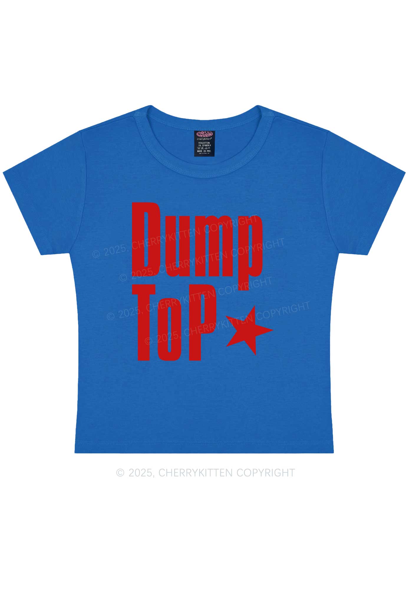 Dump Top Pride Y2K Baby Tee Cherrykitten
