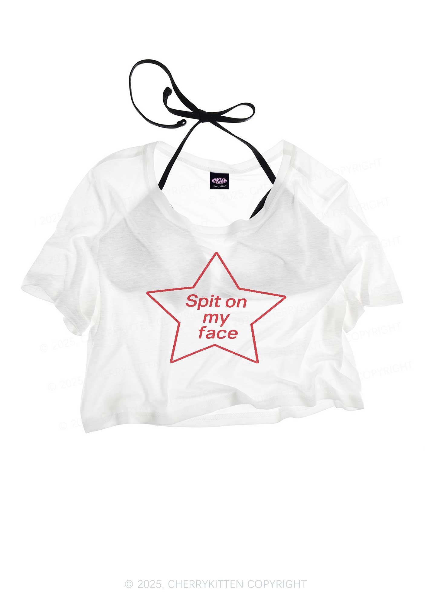 Spit On My Face Y2K Sheer Crop Tee Cherrykitten